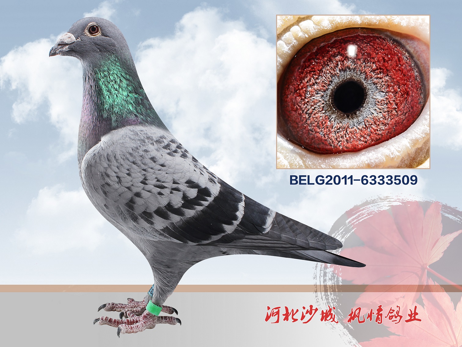 利奥原舍"003"直孙女