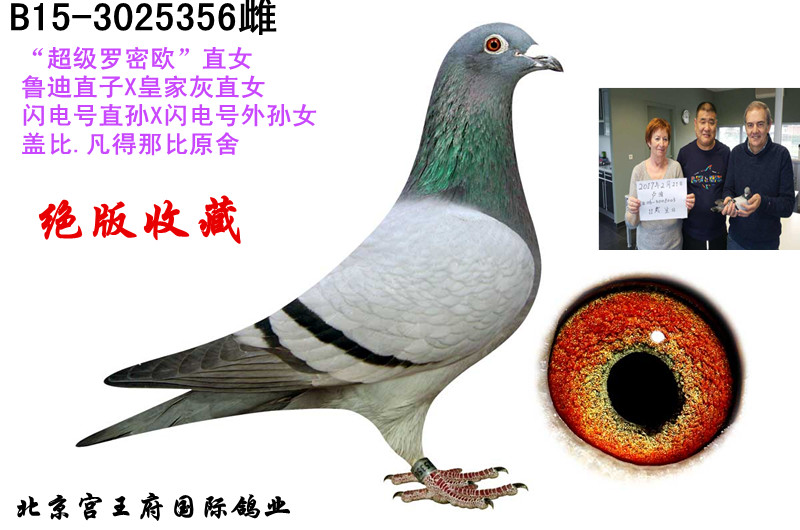盖比"超级罗密欧直女"