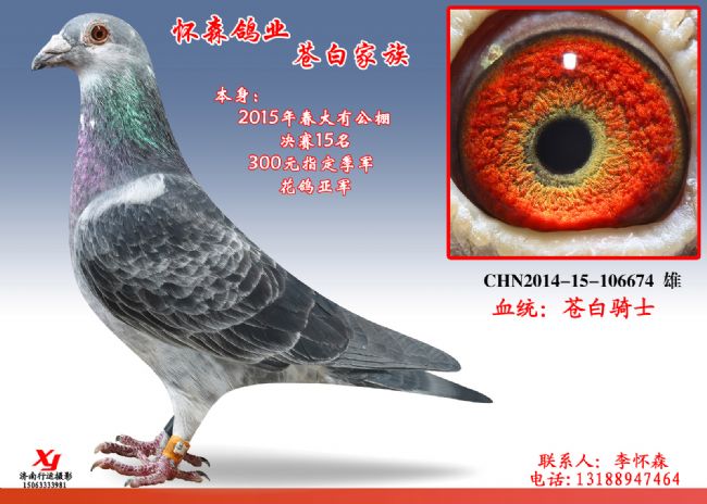 苍白674
