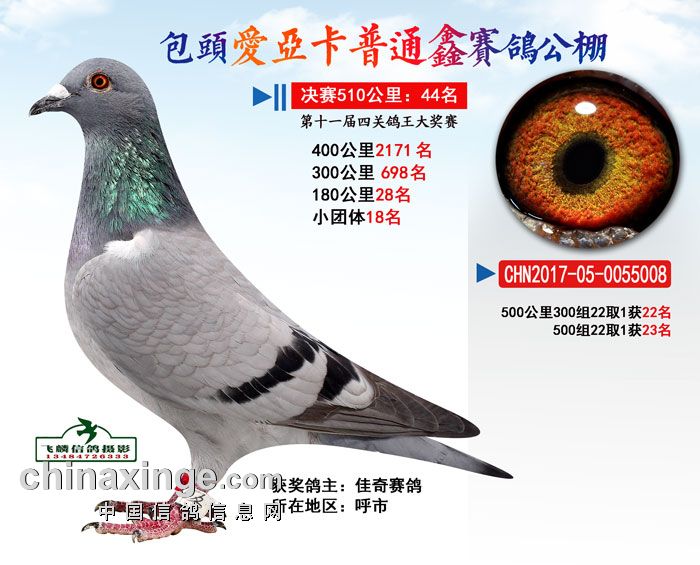 2017年包头爱亚卡普决赛44名_佳奇赛鸽_ag188.