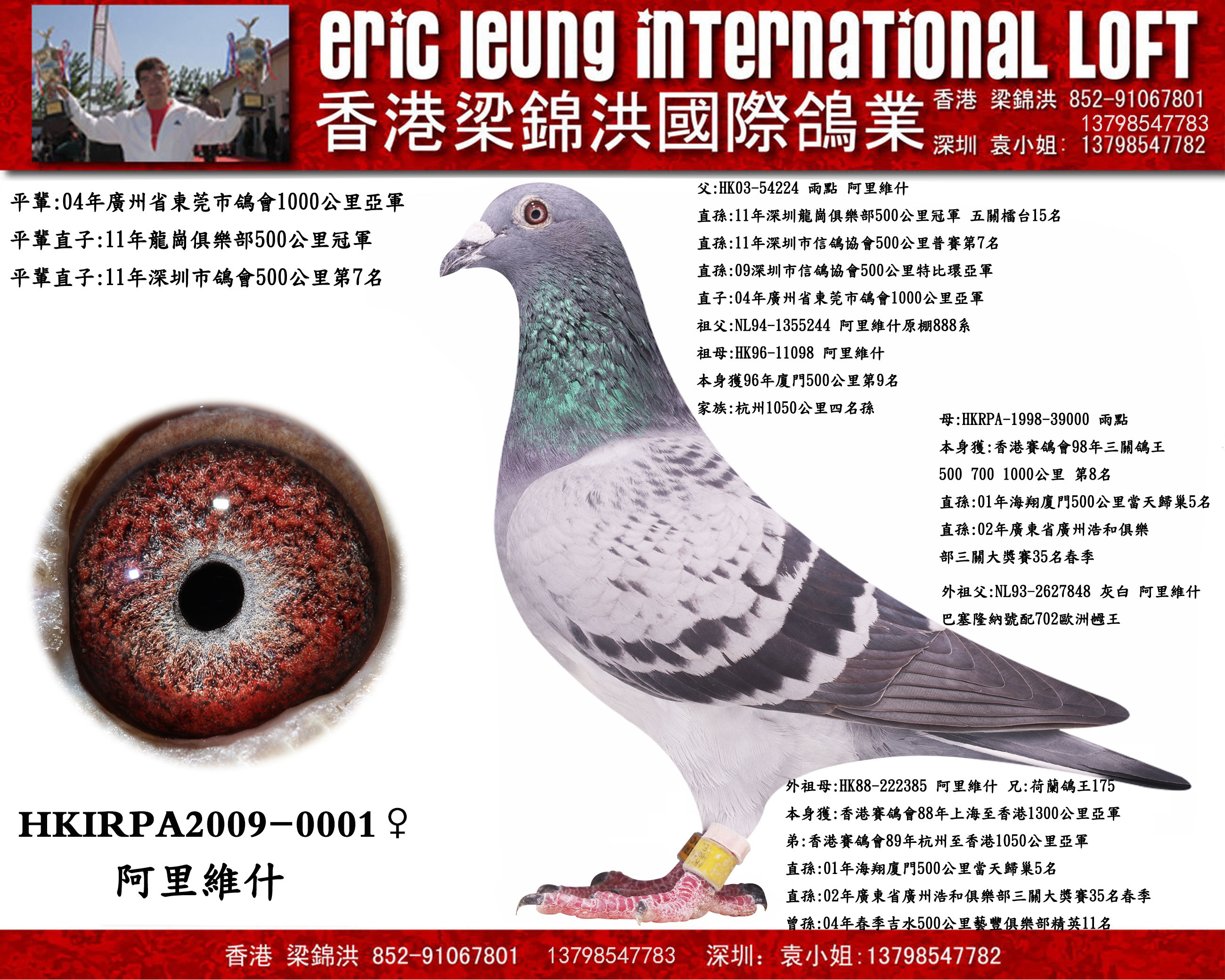 hk09-001_香港梁锦洪国际鸽业_ag188.com爱鸽商城_中国信鸽信息网