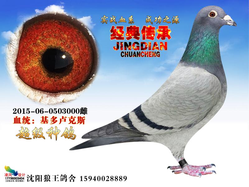 基多卢克斯