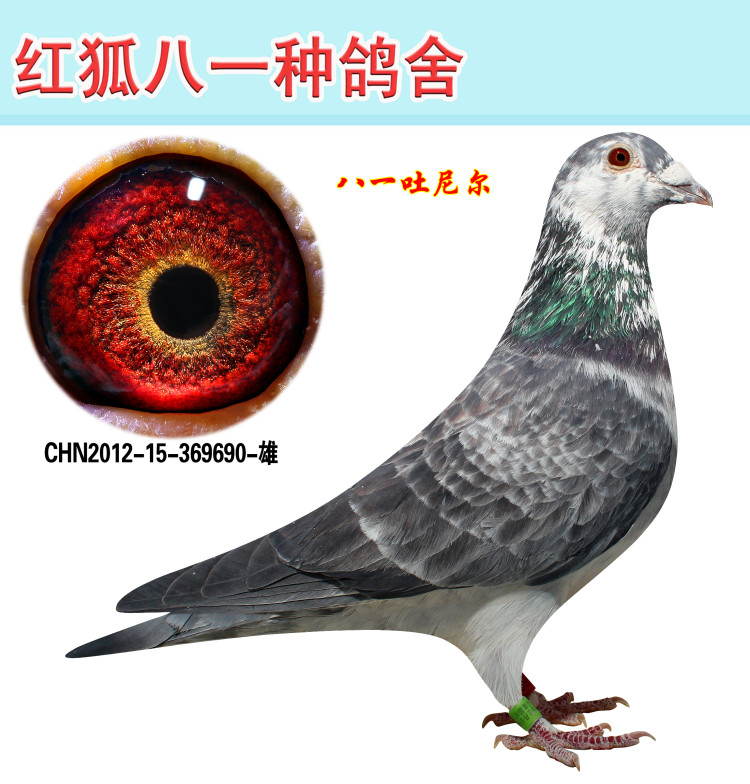 吐尼尔中将