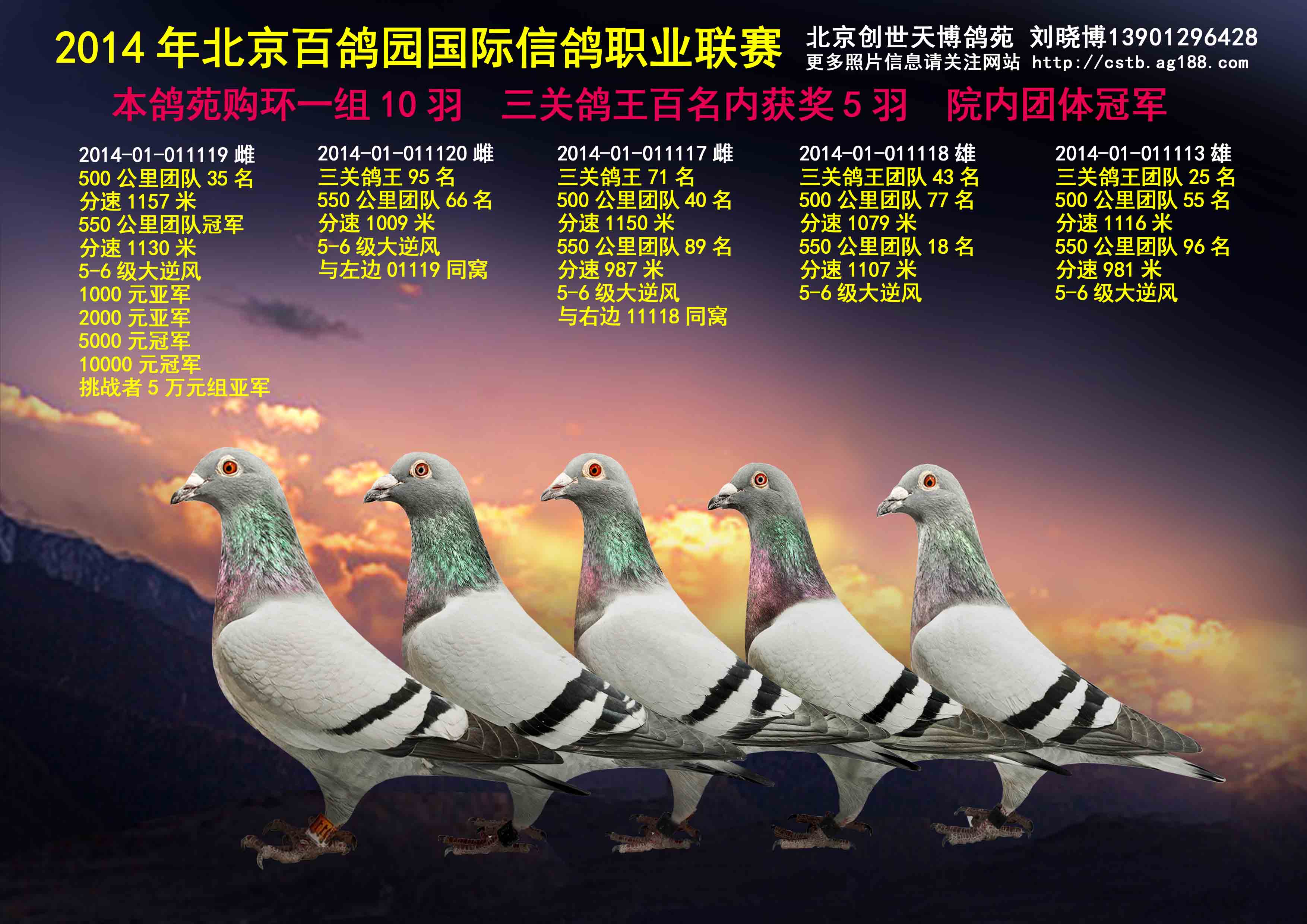 北京百鸽园院内团体冠军