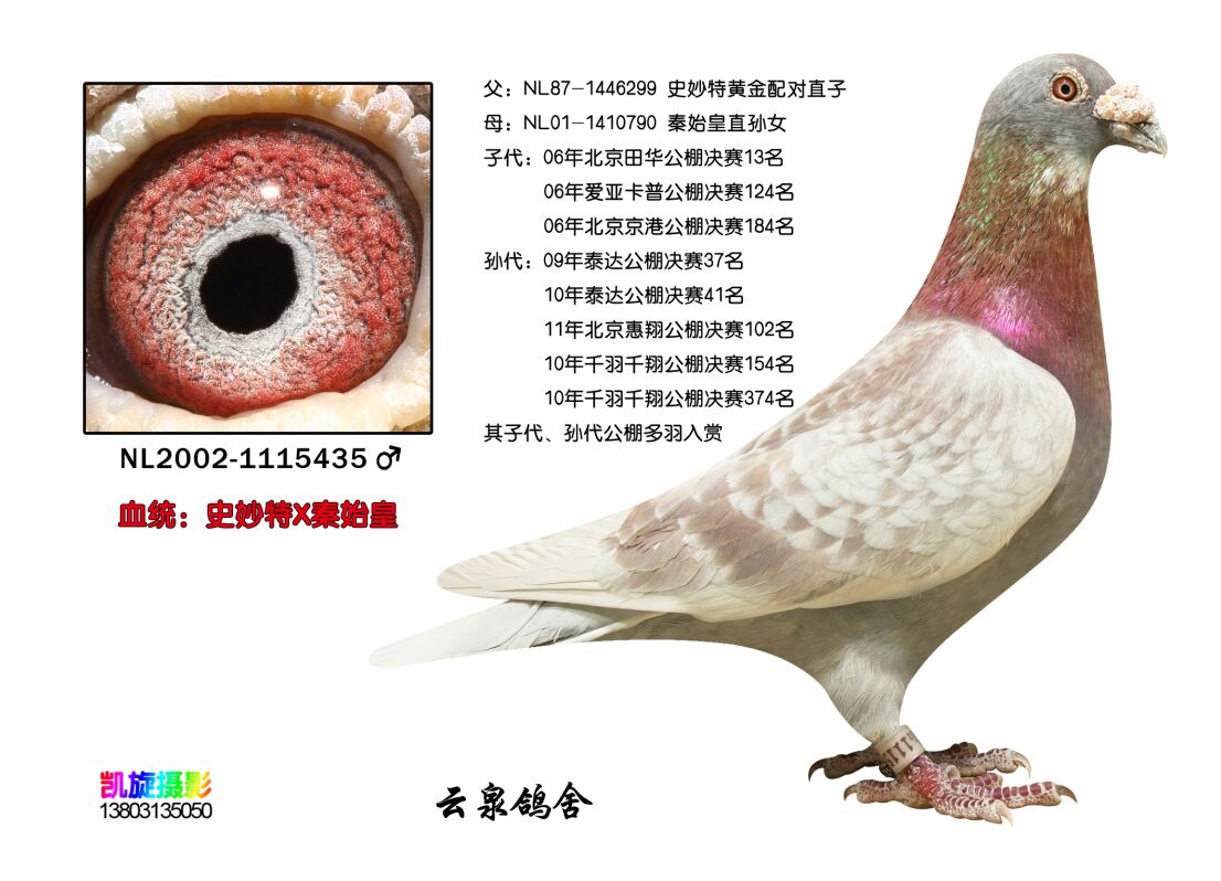 史秒特×秦始皇