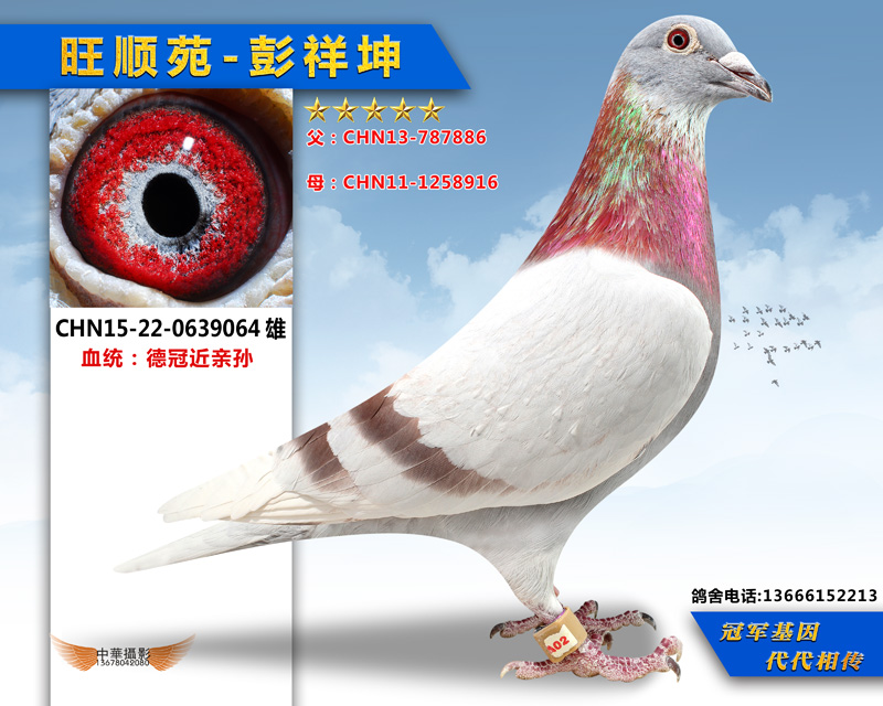 德冠近亲孙064