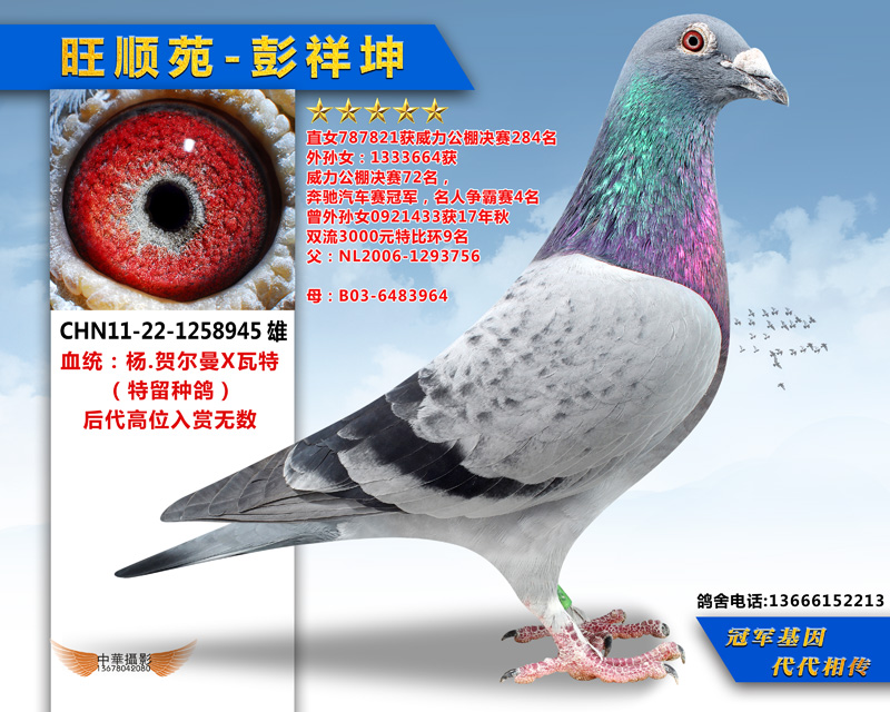 杨贺尔曼945