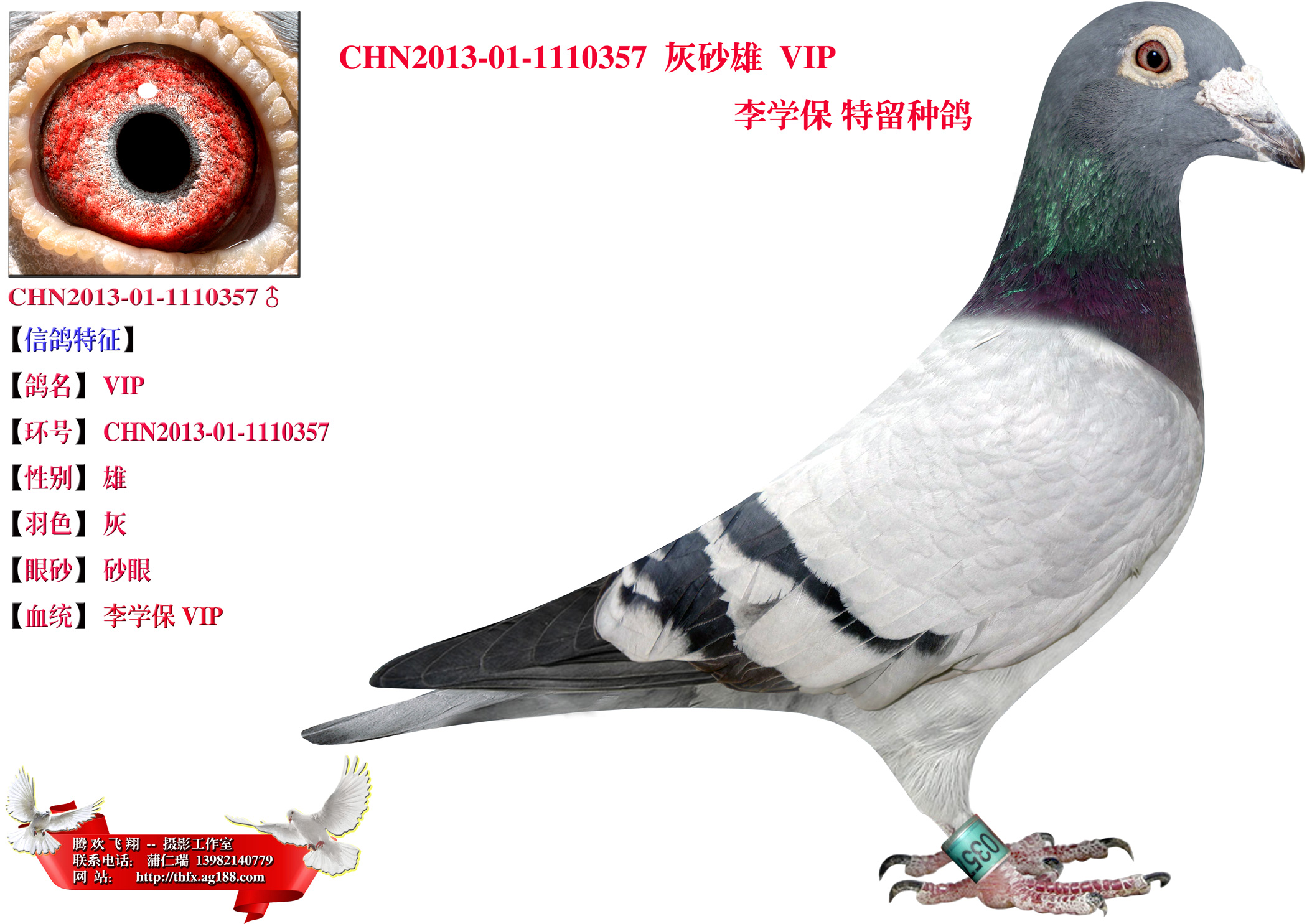 李学保 vip