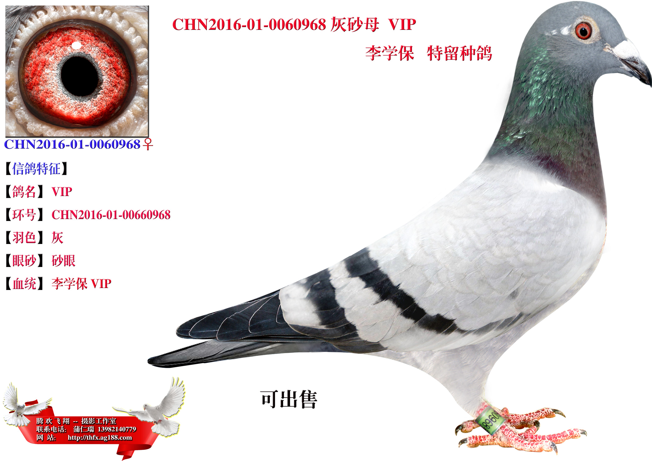 李学保vip