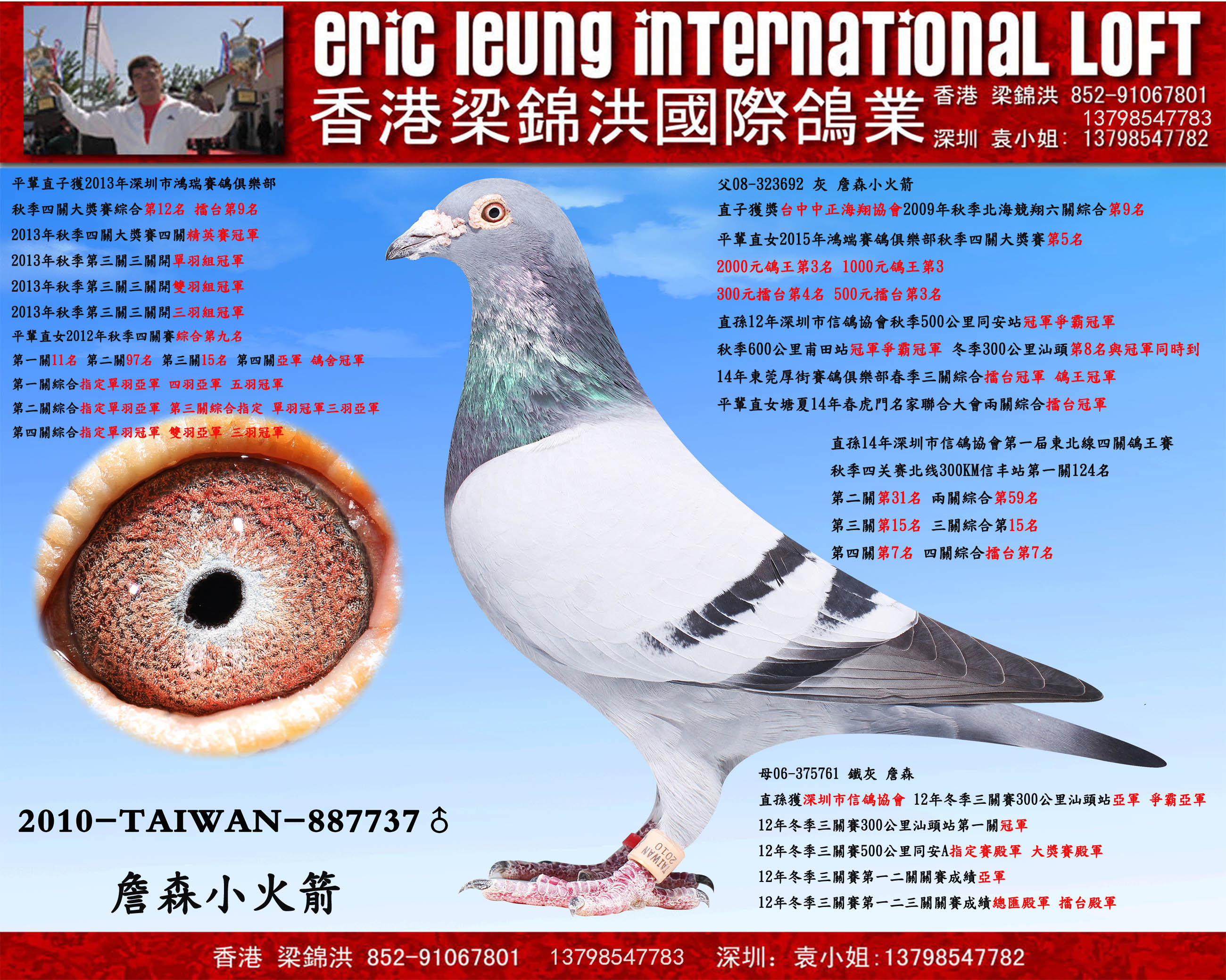 神童_香港梁锦洪国际鸽业_ ag188.com爱鸽商城_中国信鸽信息网