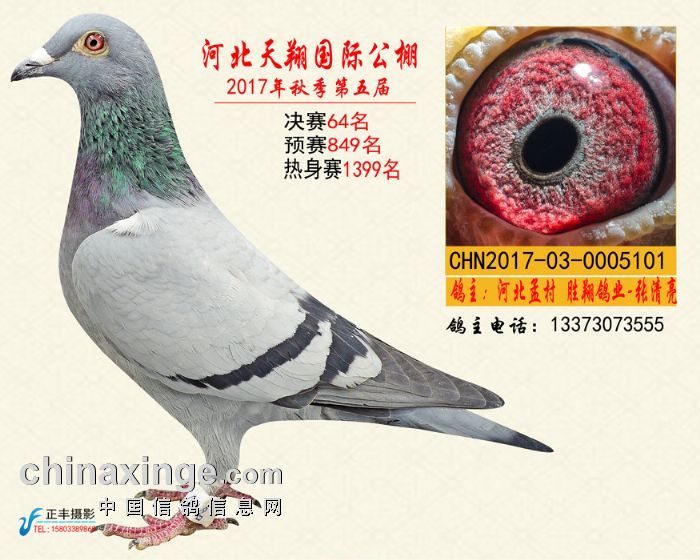 2017年天翔公棚决赛64名_河北胜翔鸽业_ag188.com爱鸽商城_中信网