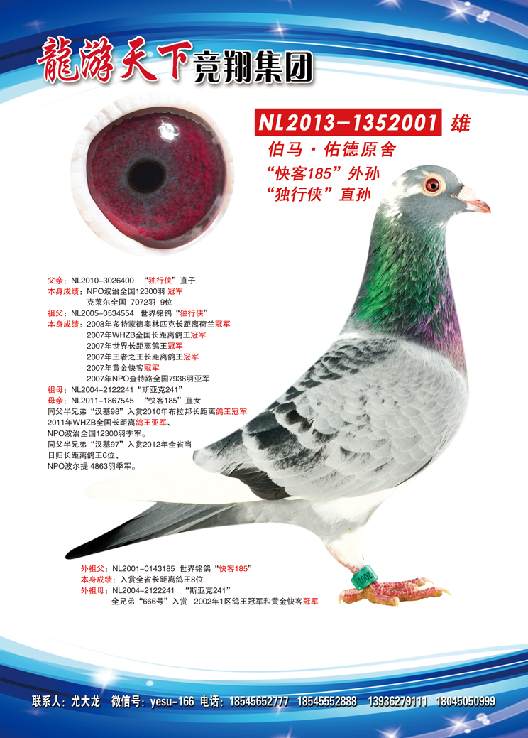 独行侠直孙