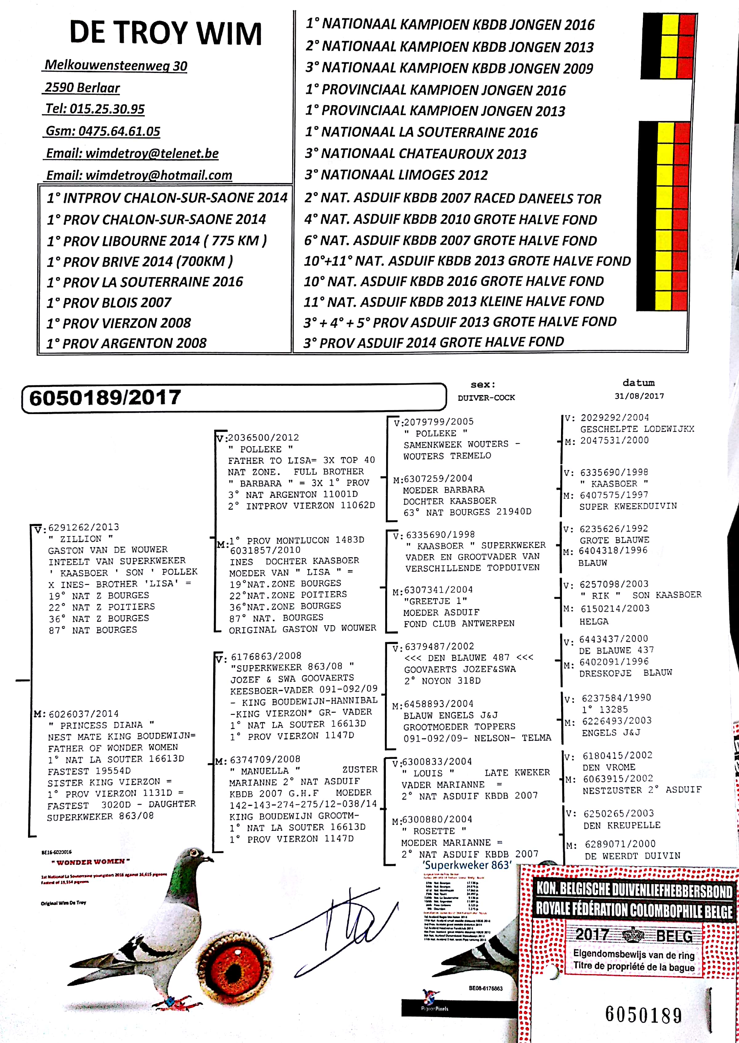 奶酪-山东志方鸽业-中信网爱鸽商城