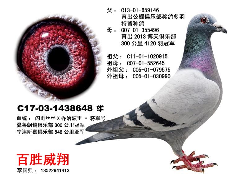 夏拉肯丝丝x乔治波里将军号