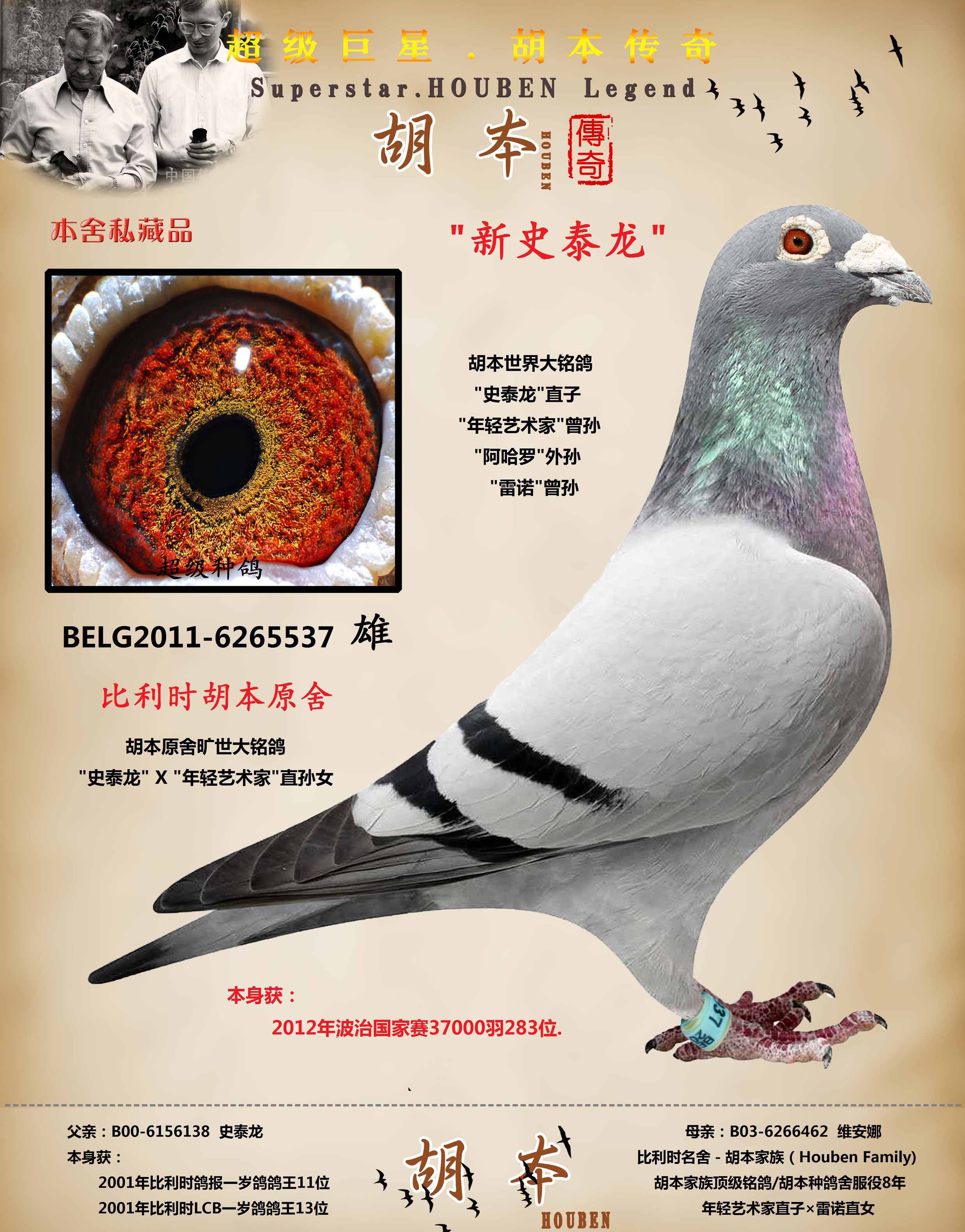 胡本原舍 "史泰龙"x"艺术家孙女"