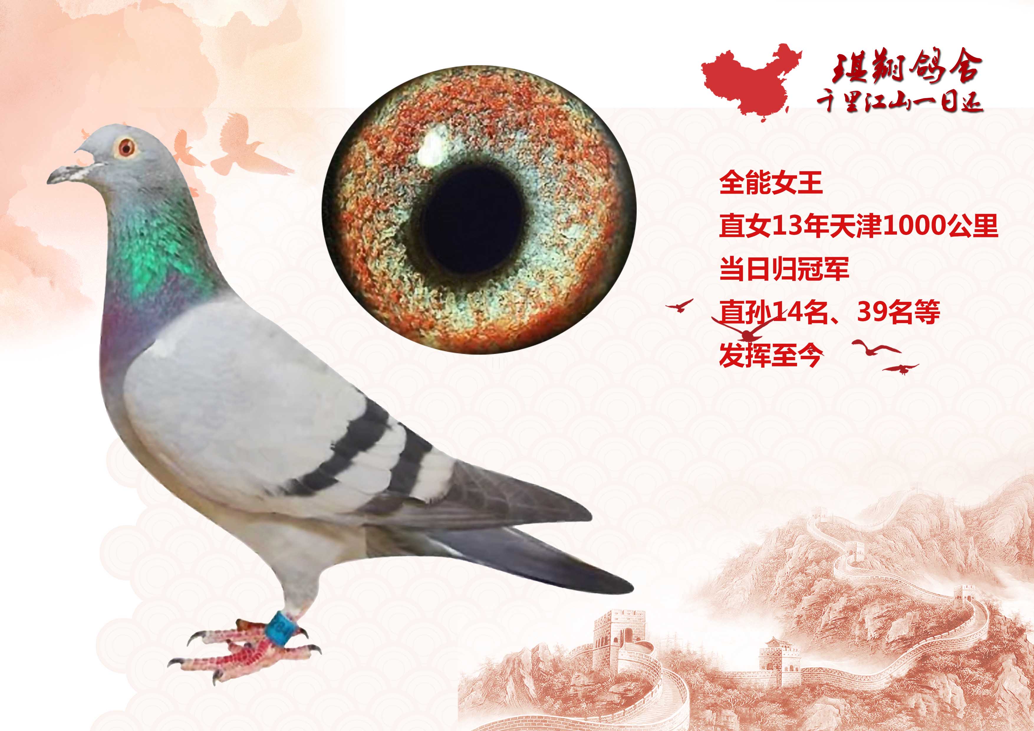 千公里当日归冠军母亲