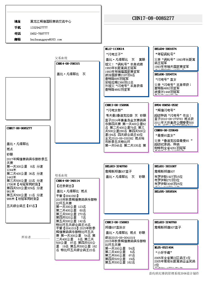 惠比特盖文血统表图片