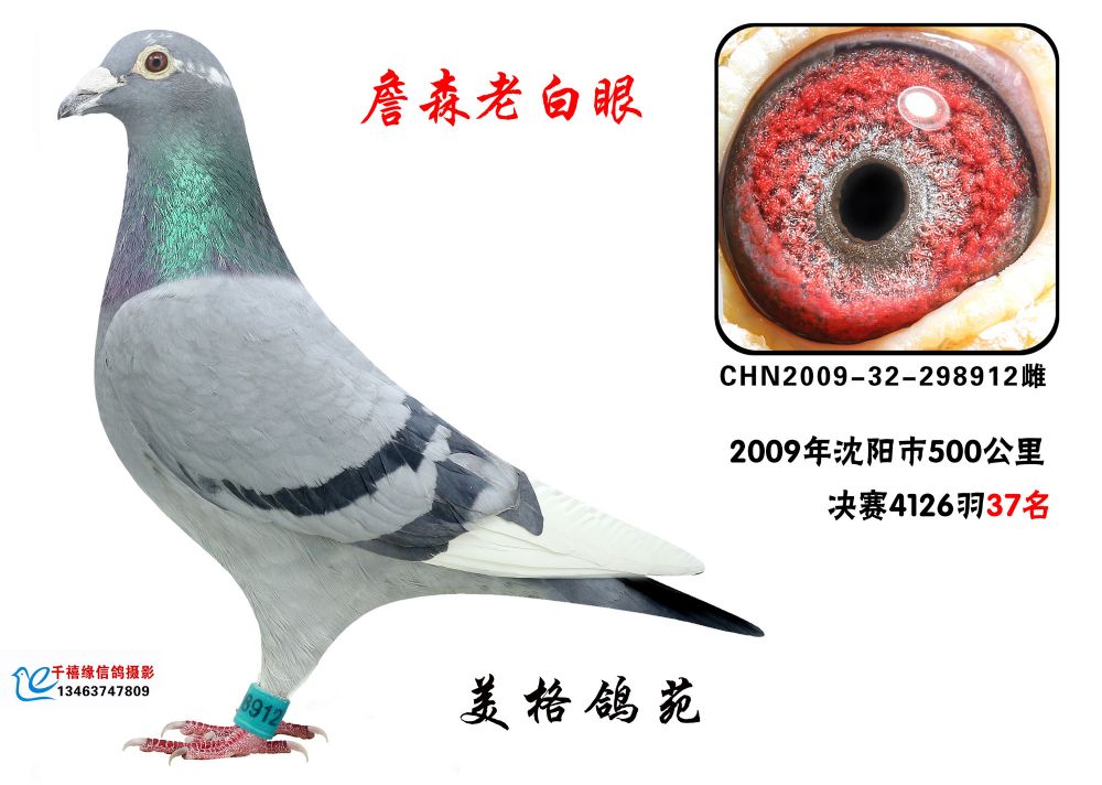 老白眼
