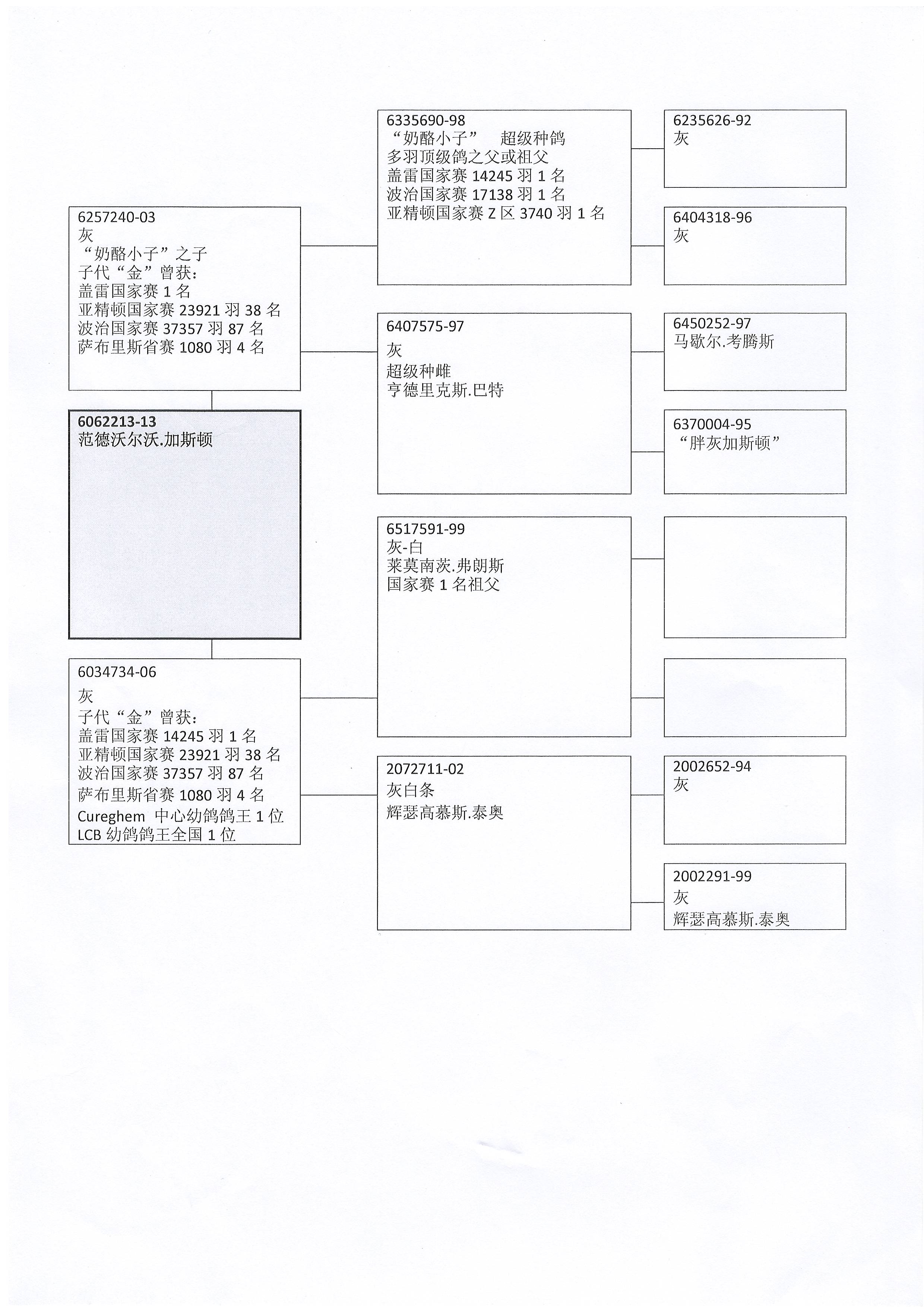 奶酪小子最佳直子240做出直女213已售