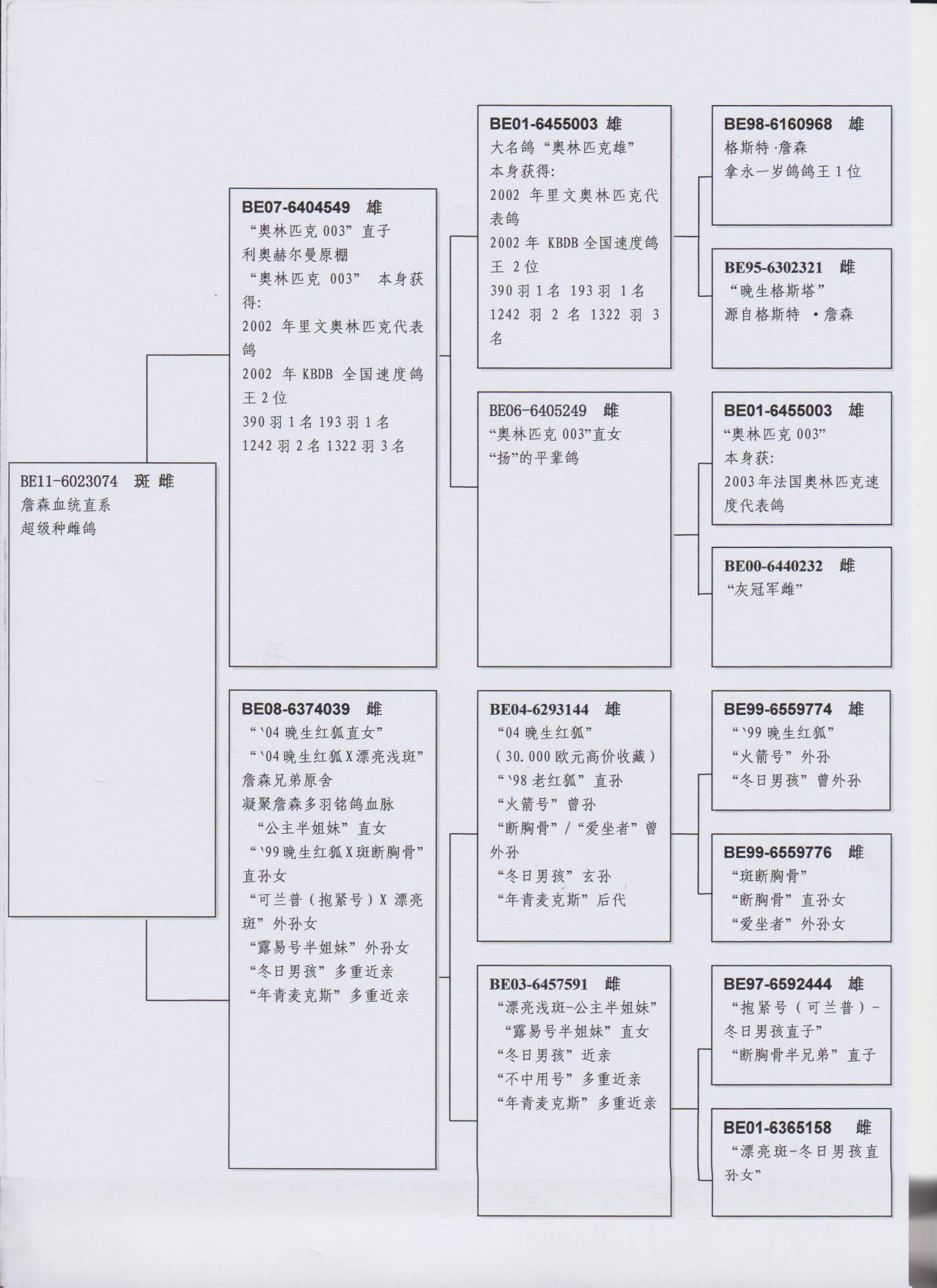 詹森04晚生红狐外孙女