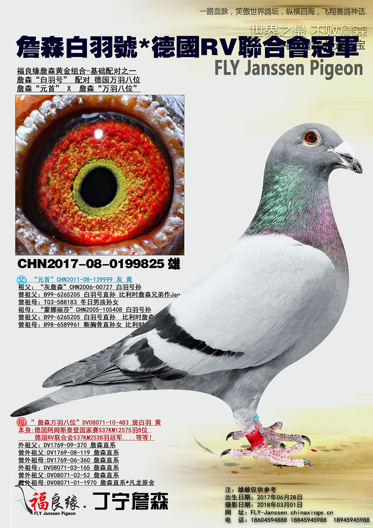 詹森白羽号*德国rv联合会冠军