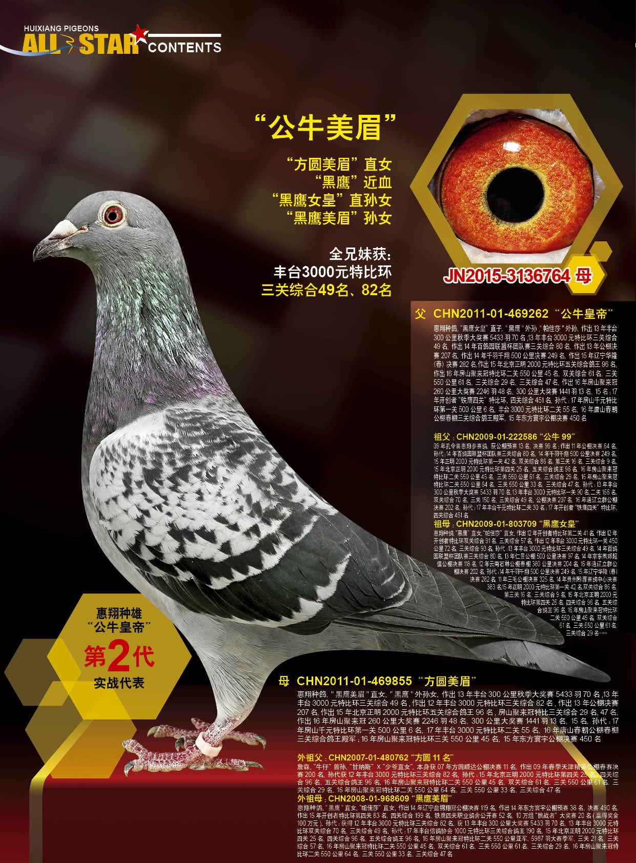 com爱鸽商城_中国信鸽信息网