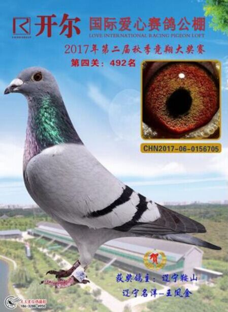 2017年开尔公棚决赛492名