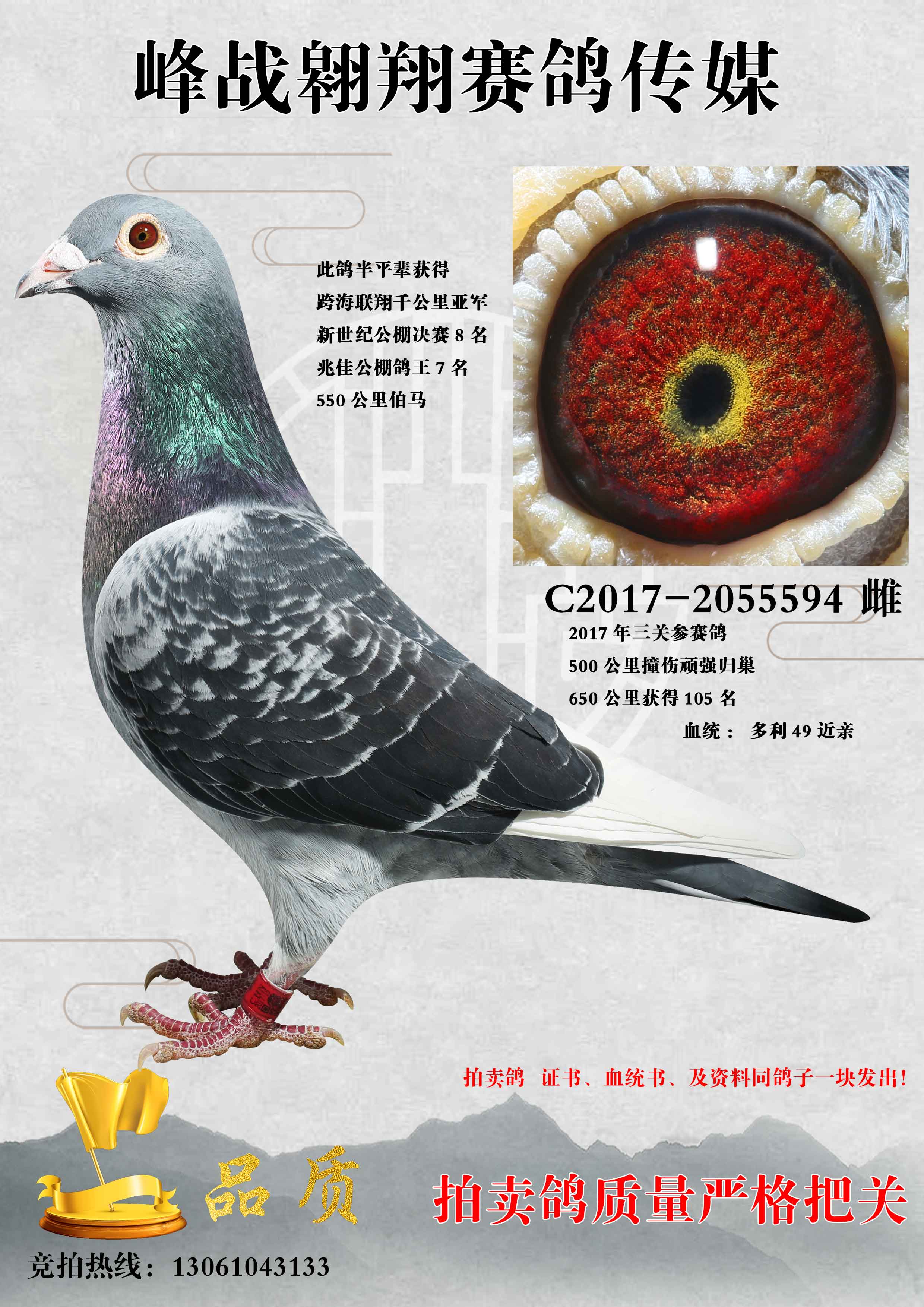 多利49近亲