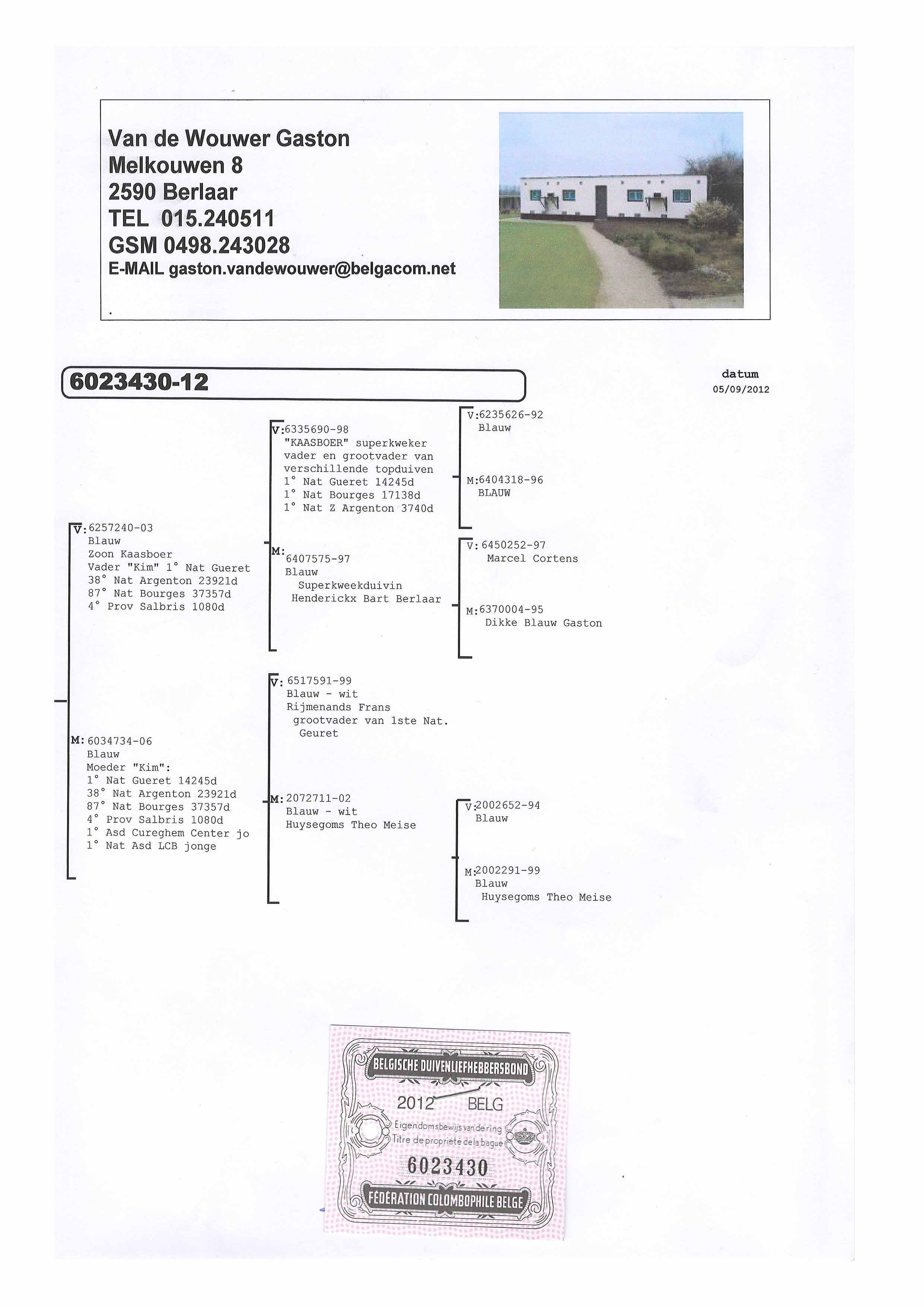 奶酪小子最佳直子240做出直女430已售