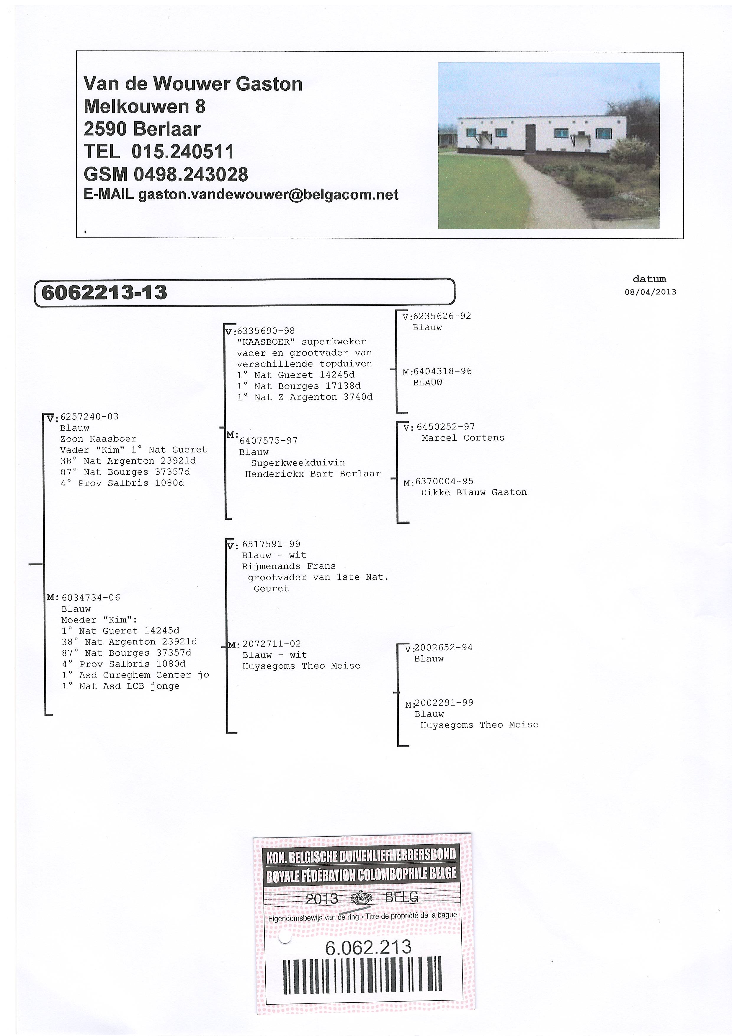 奶酪小子最佳直子240做出直女213已售