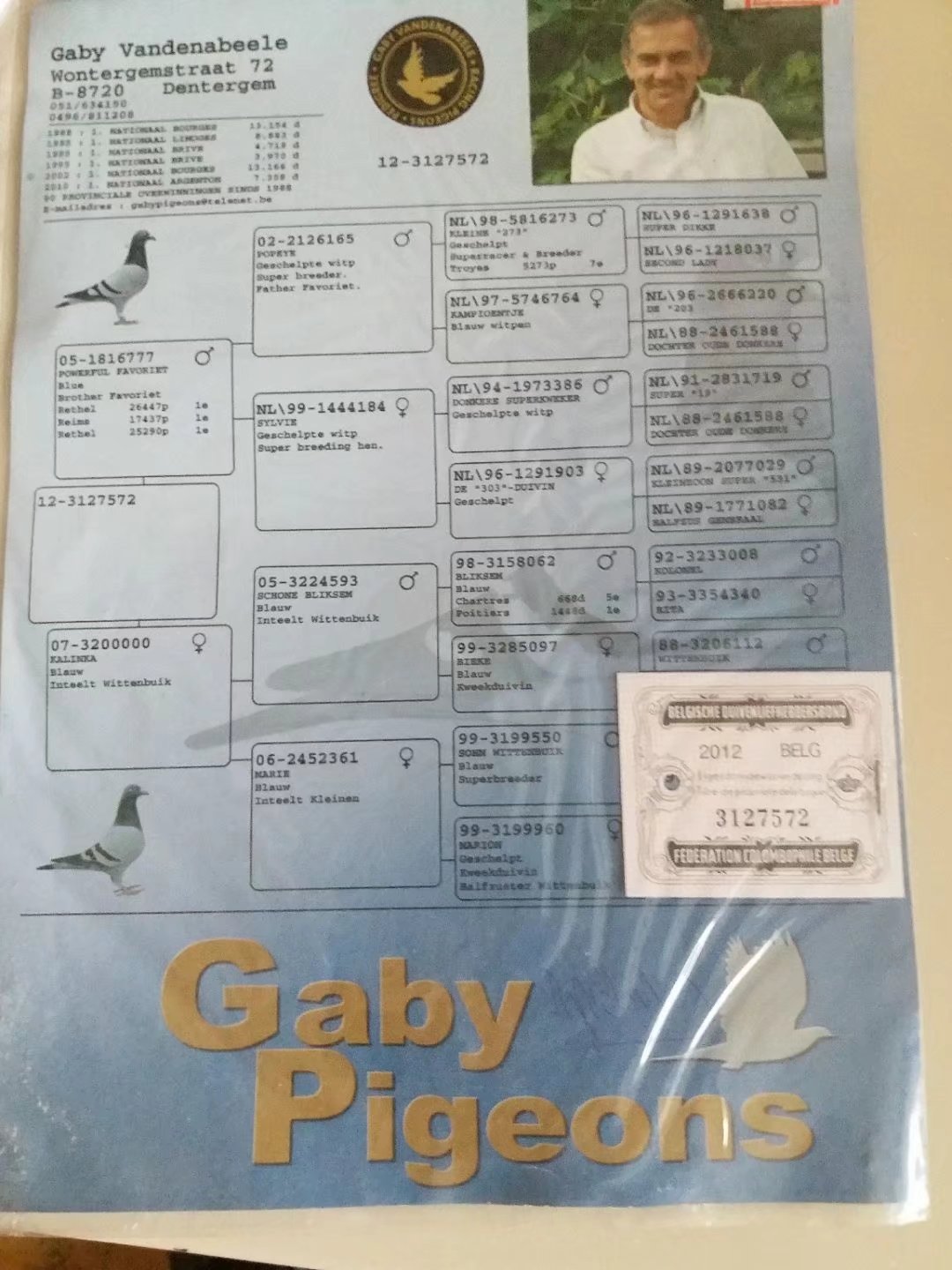 血统书