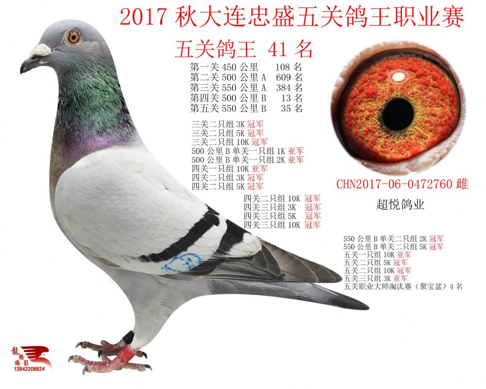 41_超悦鸽业_ ag188.com爱鸽商城_中信网