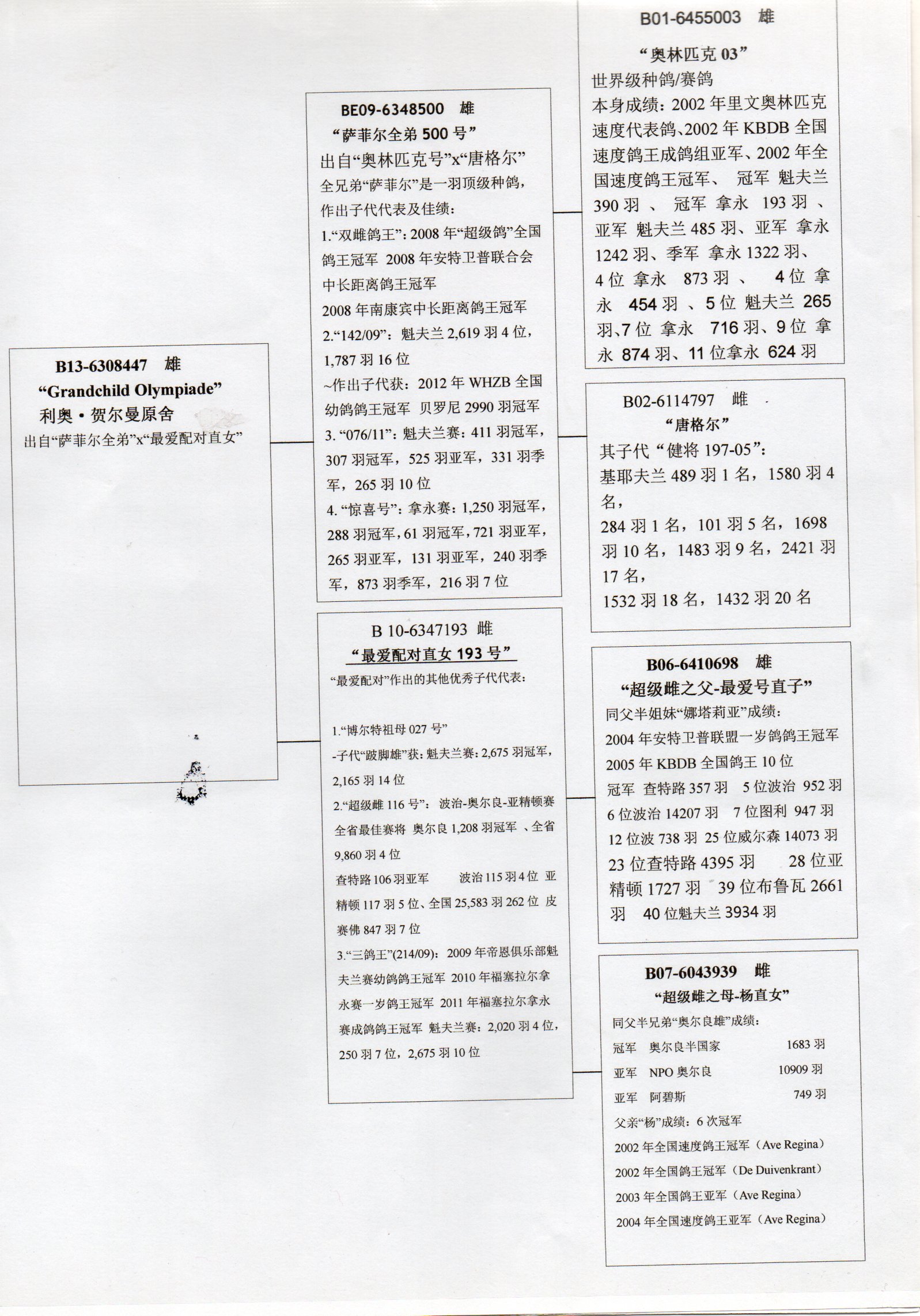 利奥赫尔曼直奥林匹克003直孙