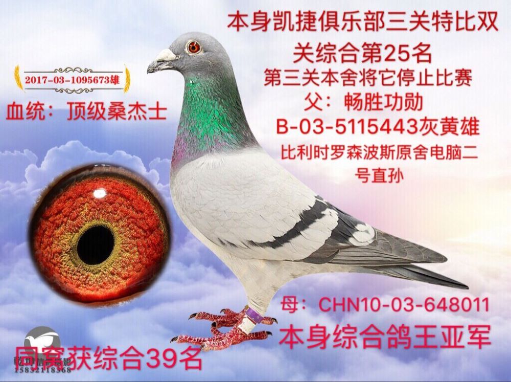 qq图片20180424092244