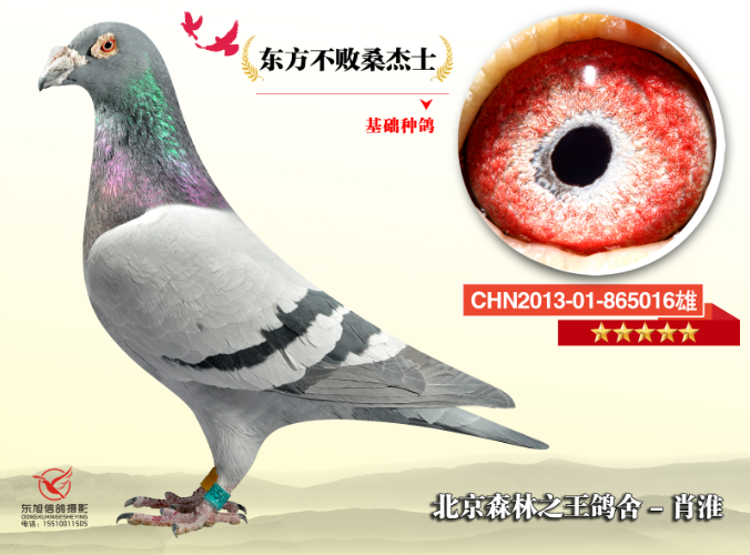 东方不败桑杰士