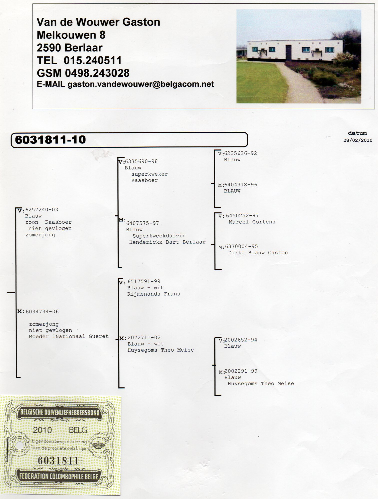 奶酪240-直子 大约翰