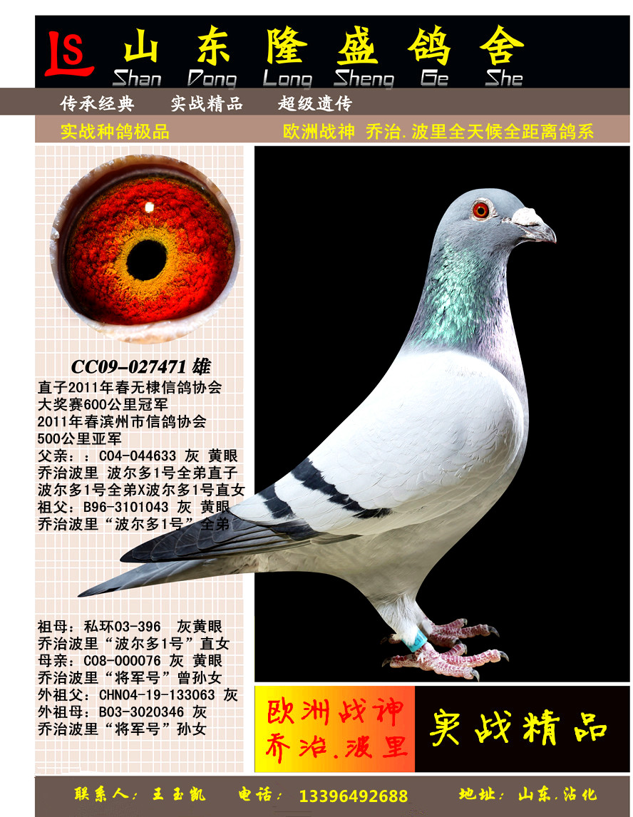 600公里冠军全弟