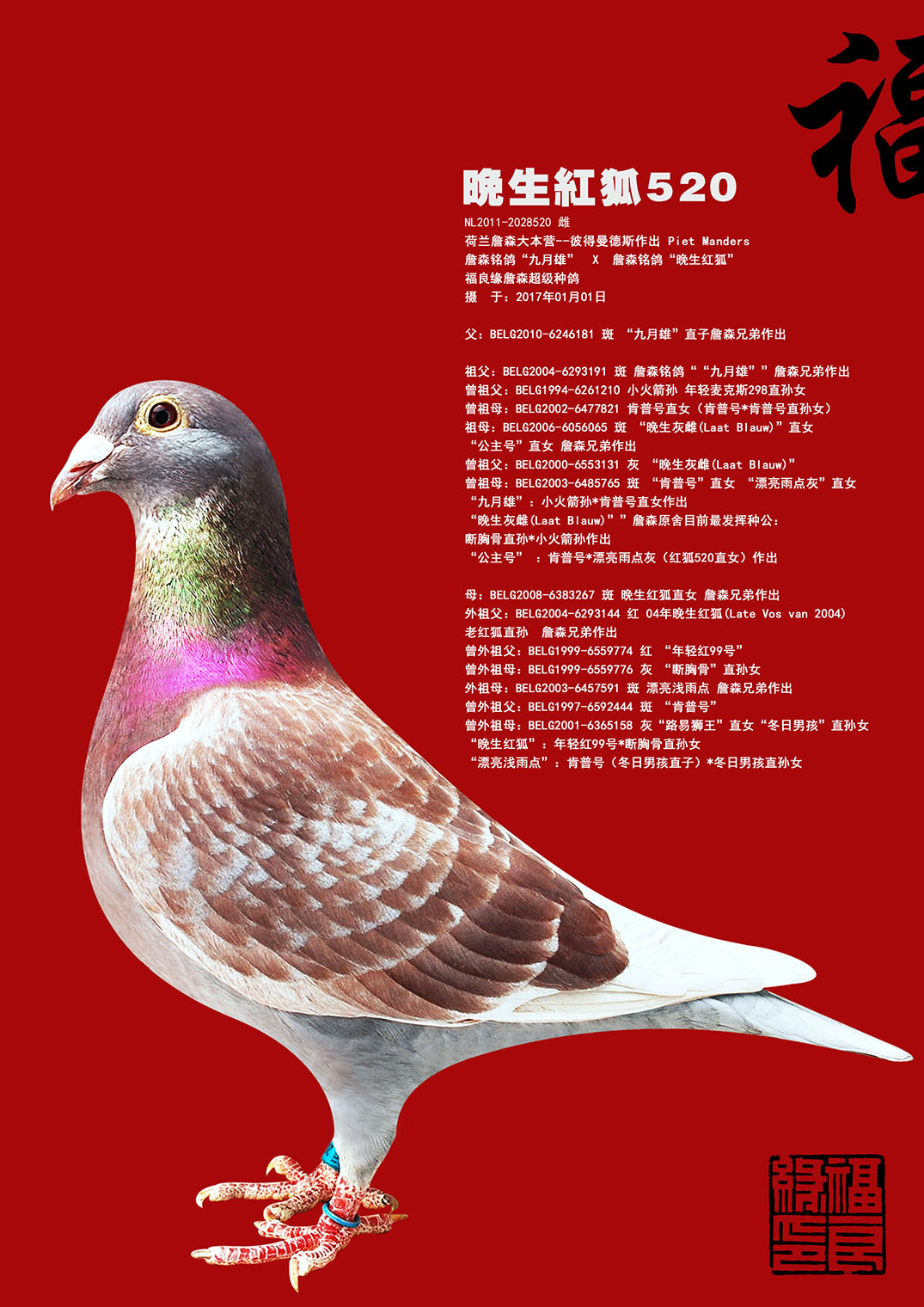 詹森红狐多重回血