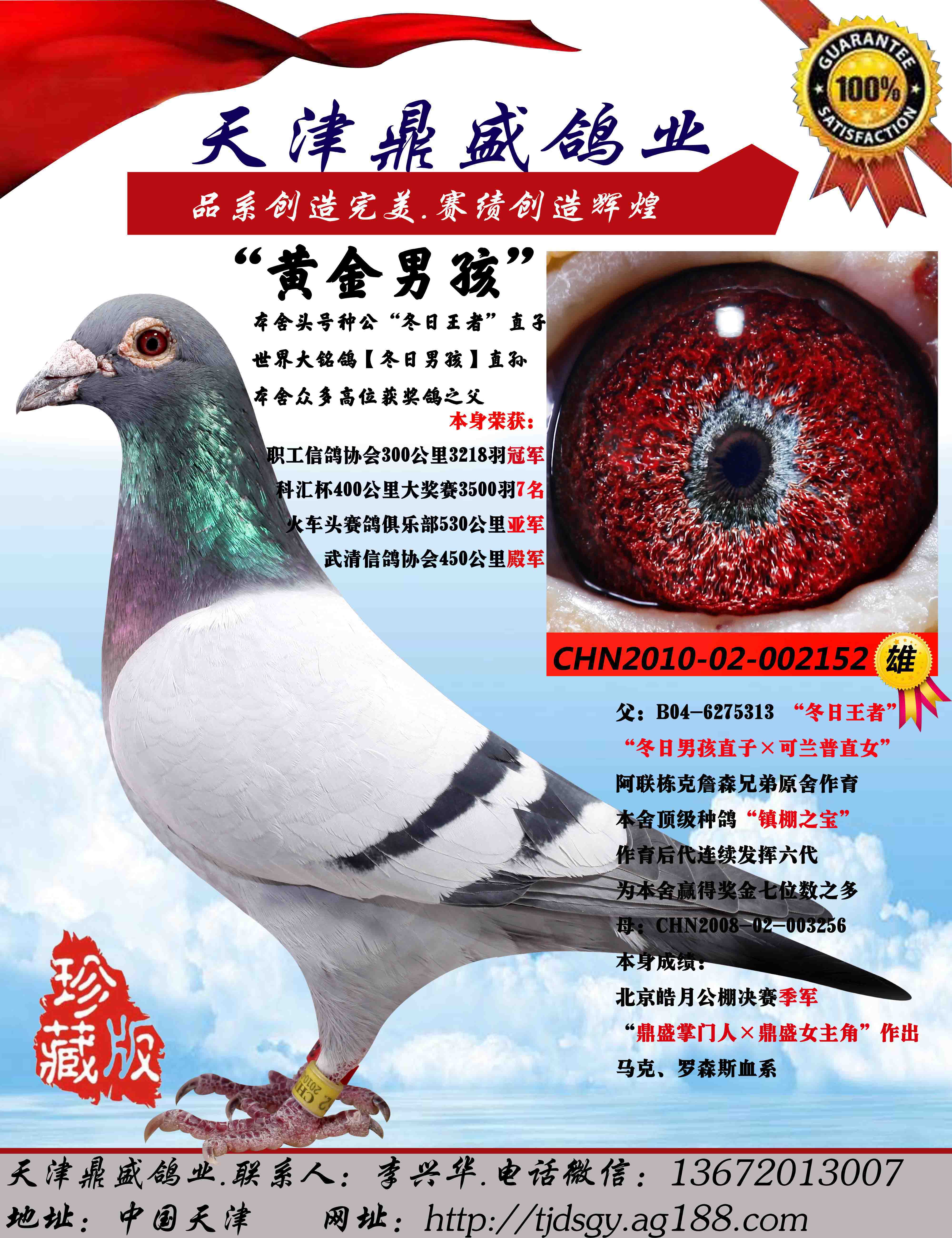 "黄金男孩"
