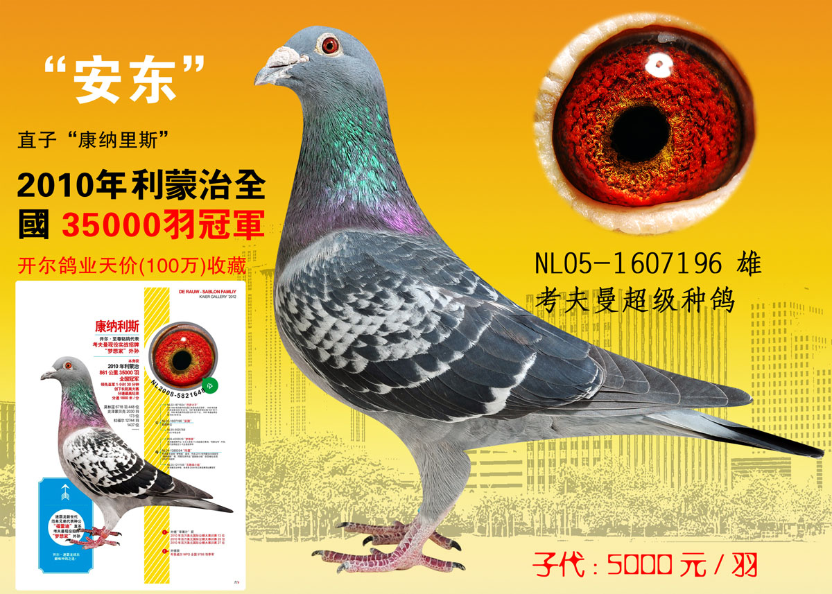 考夫曼铭鸽康那利斯之父-安东
