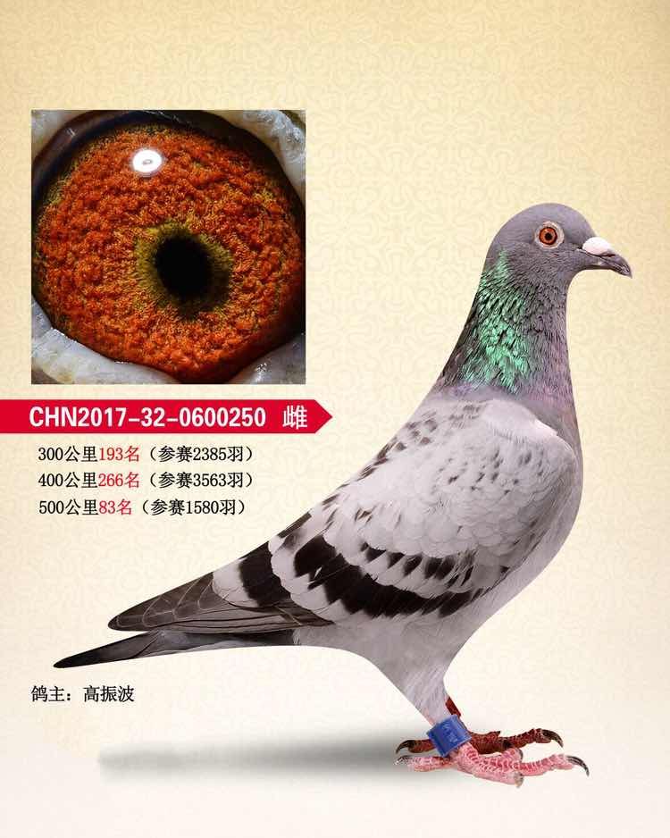 詹森/克拉克