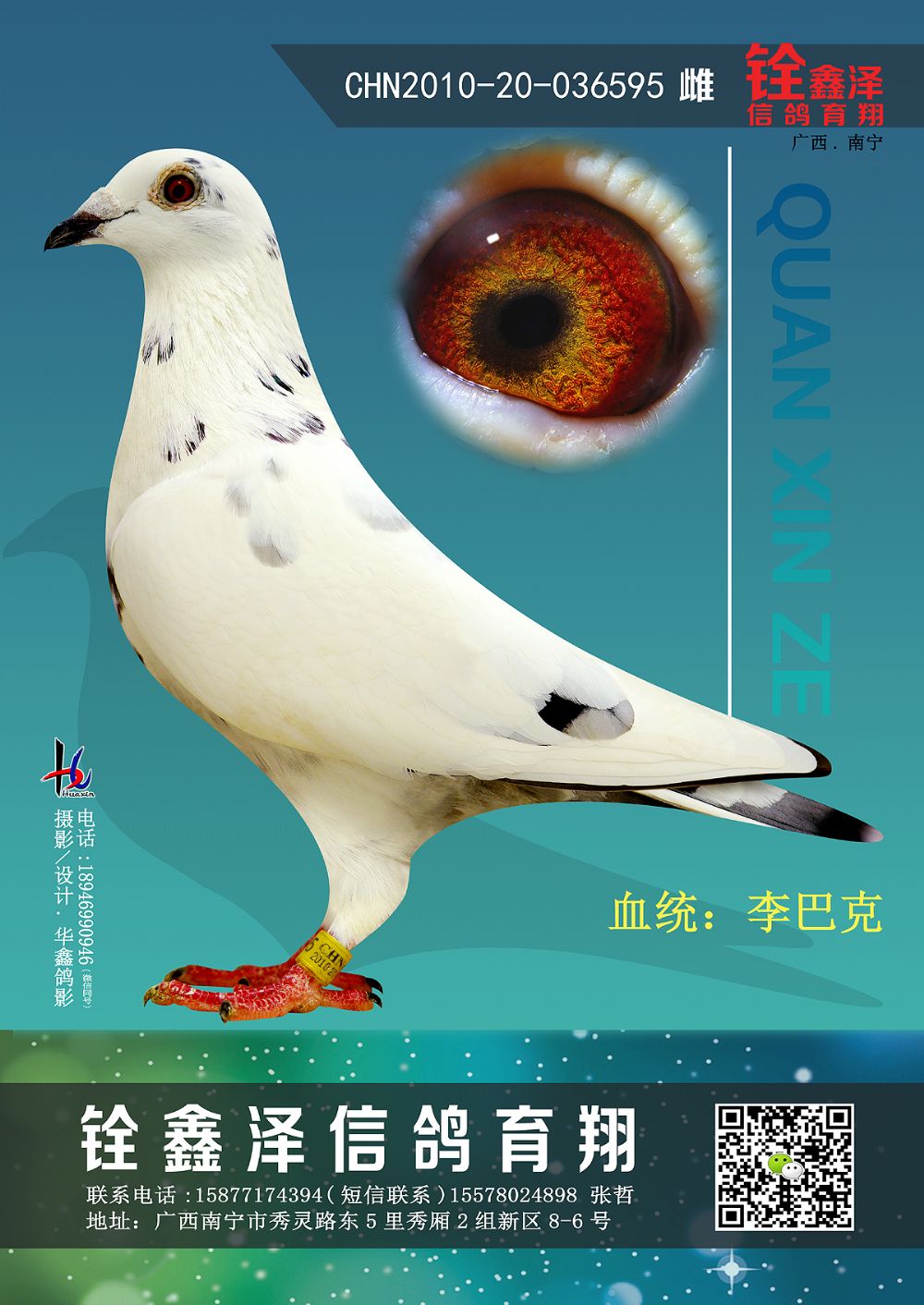 chn2010-20-036595 雌