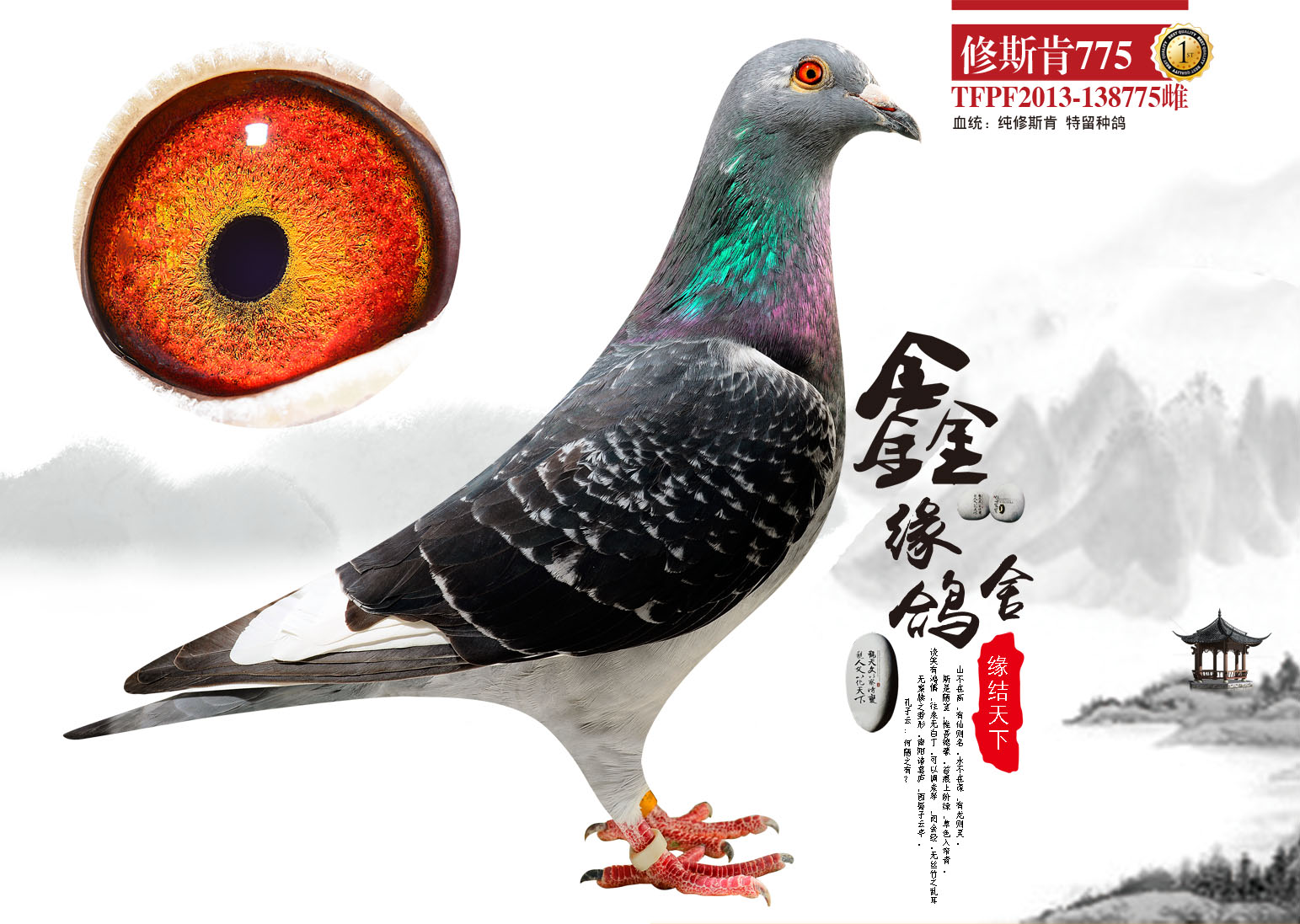 修斯肯775