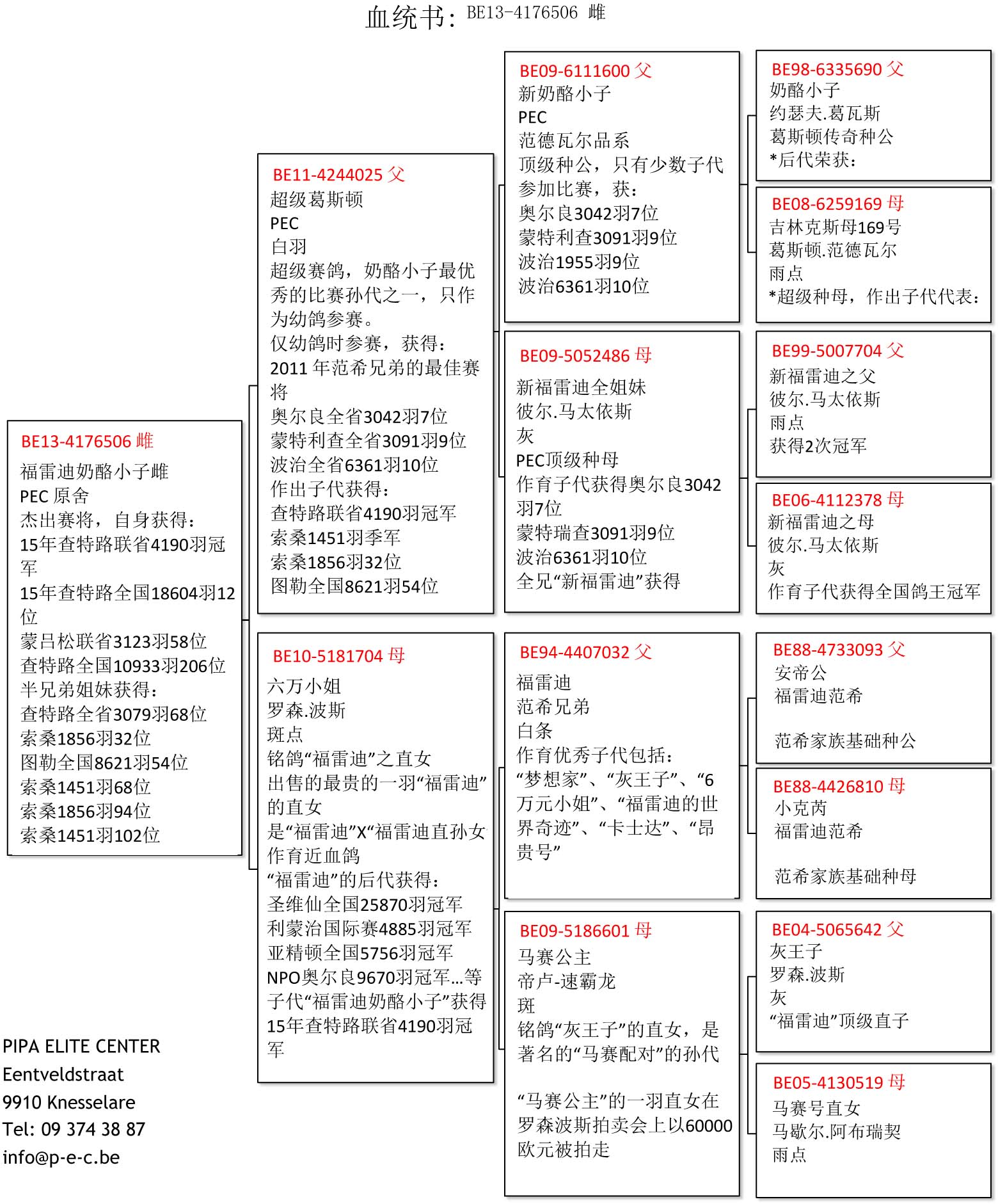 【福雷迪奶酪小子雌】4190羽冠军