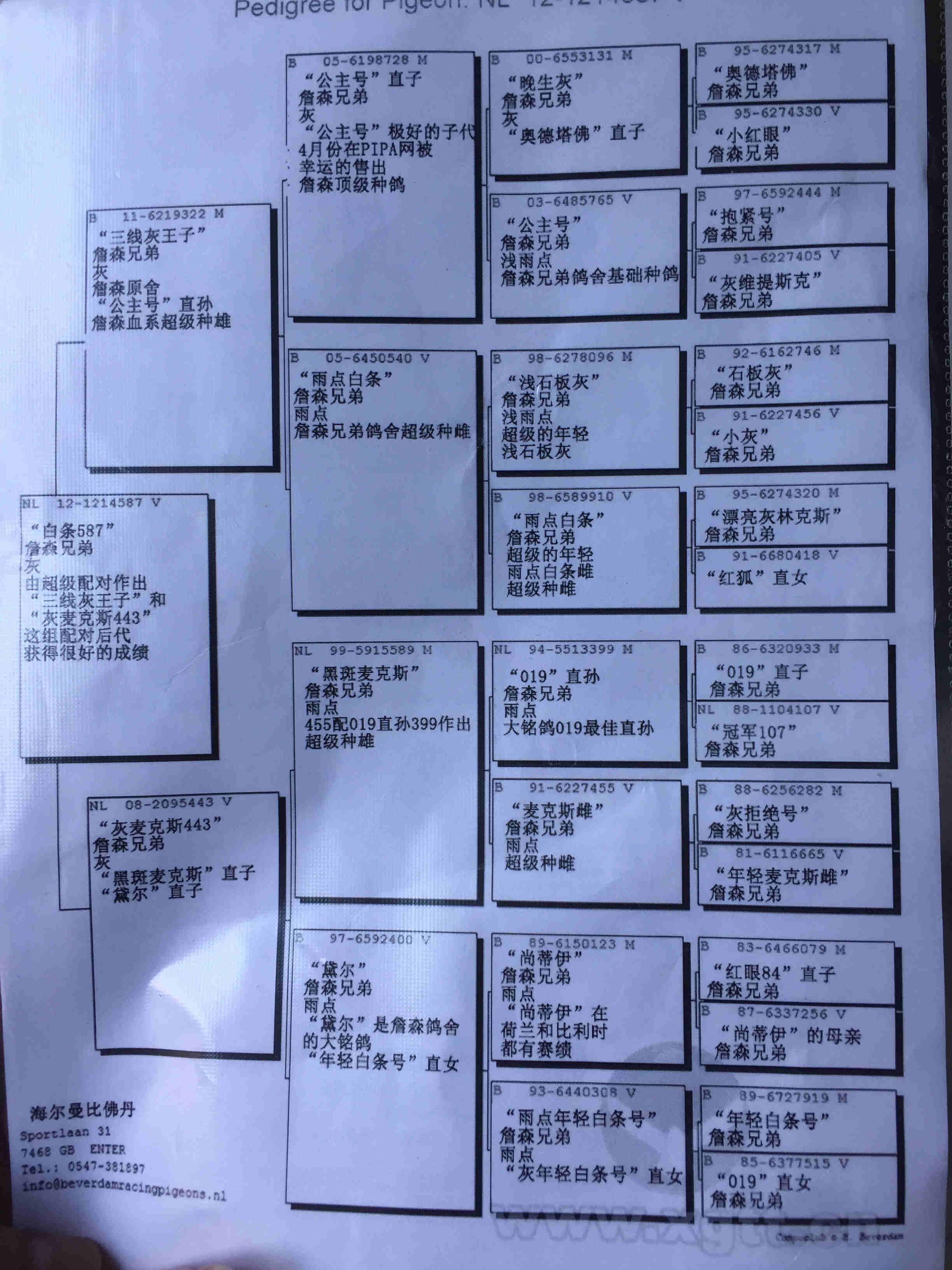 血統書翻譯