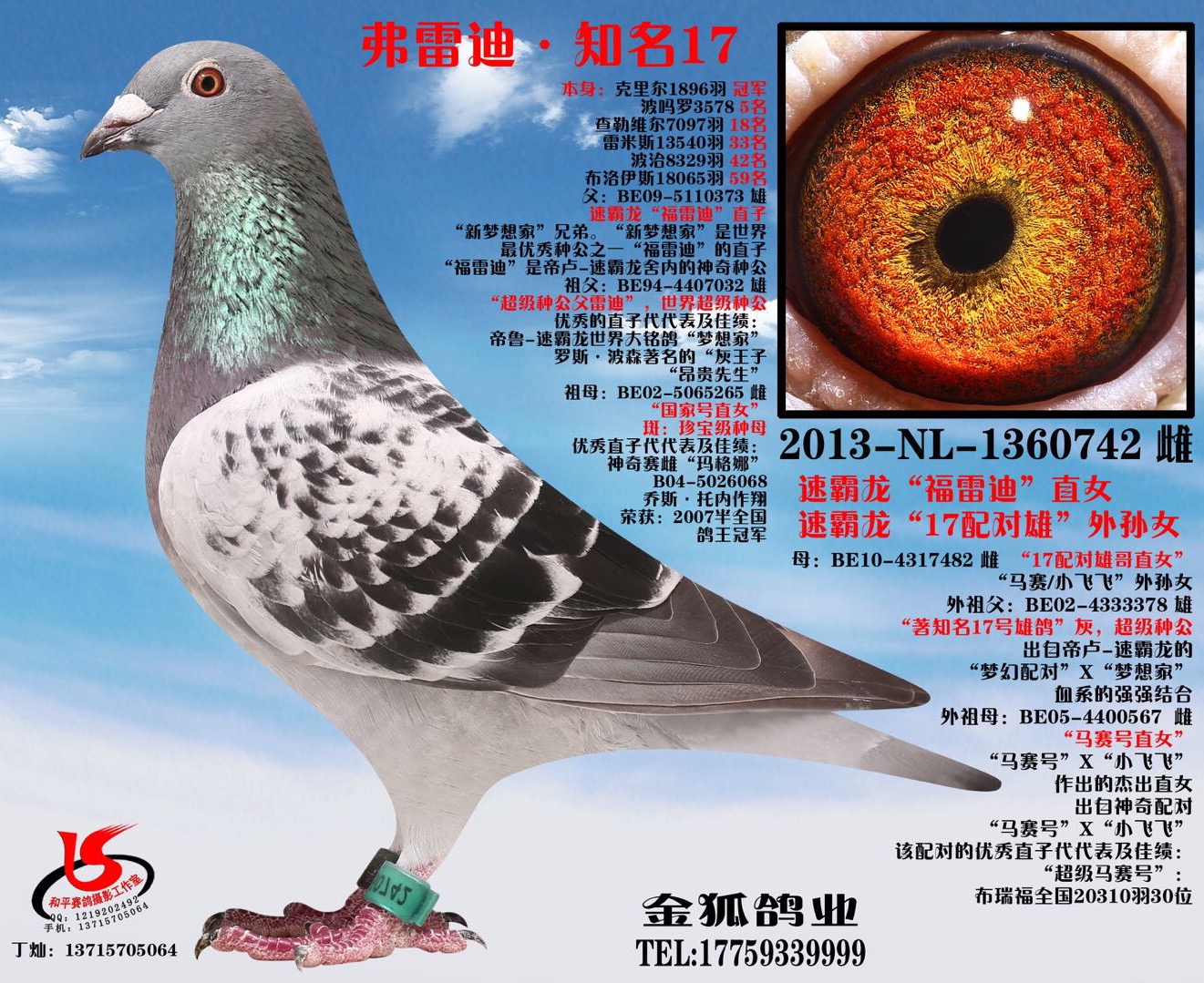 黄金配对雌:知名17.玉女