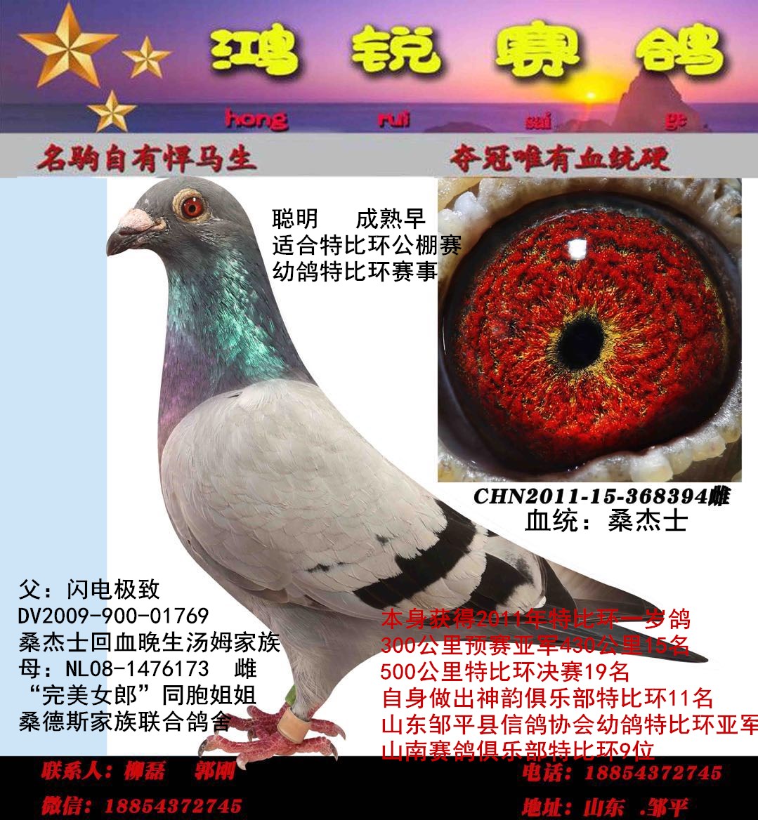 桑杰士种雄