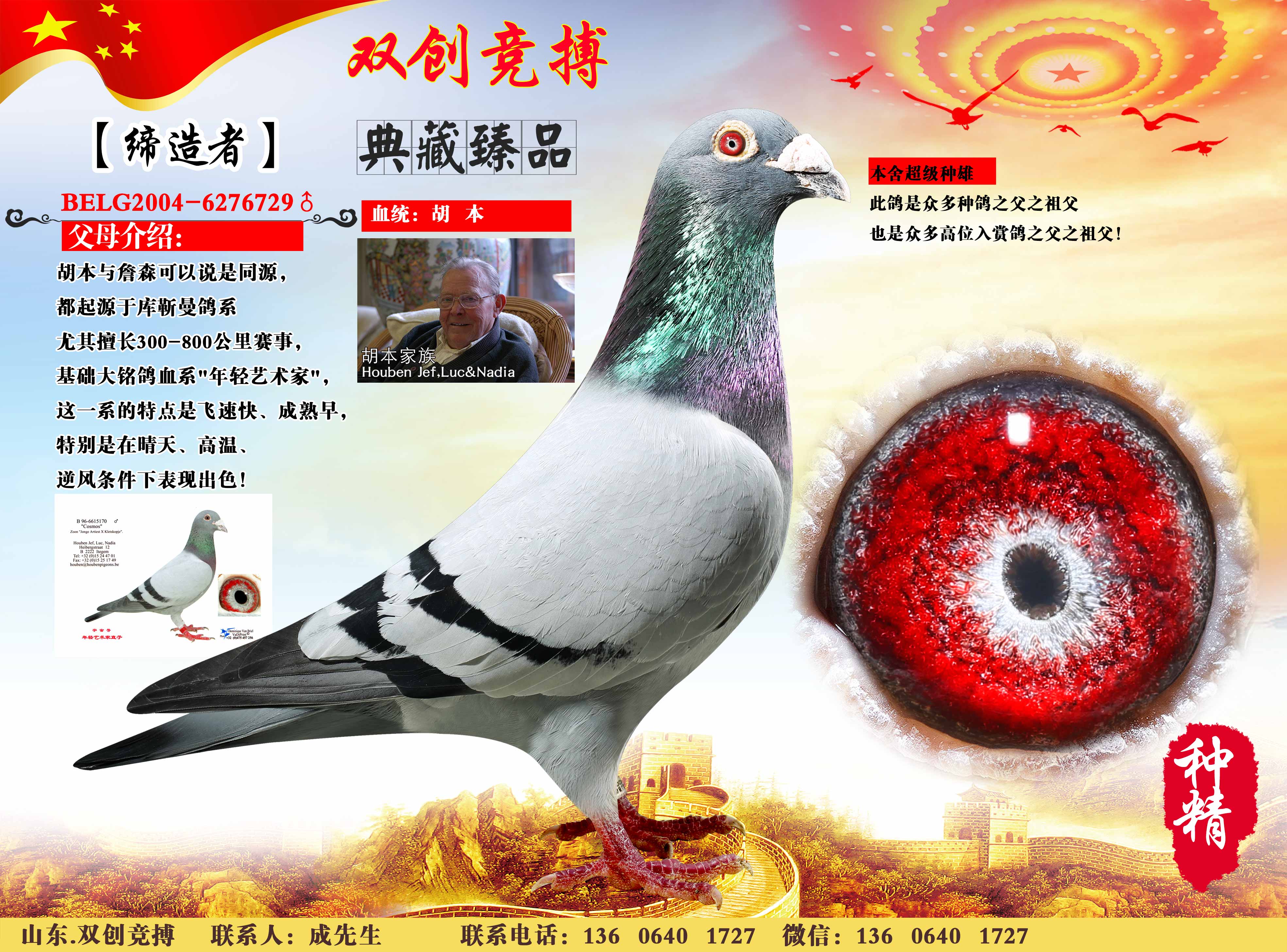 com爱鸽商城_中国信鸽信息网