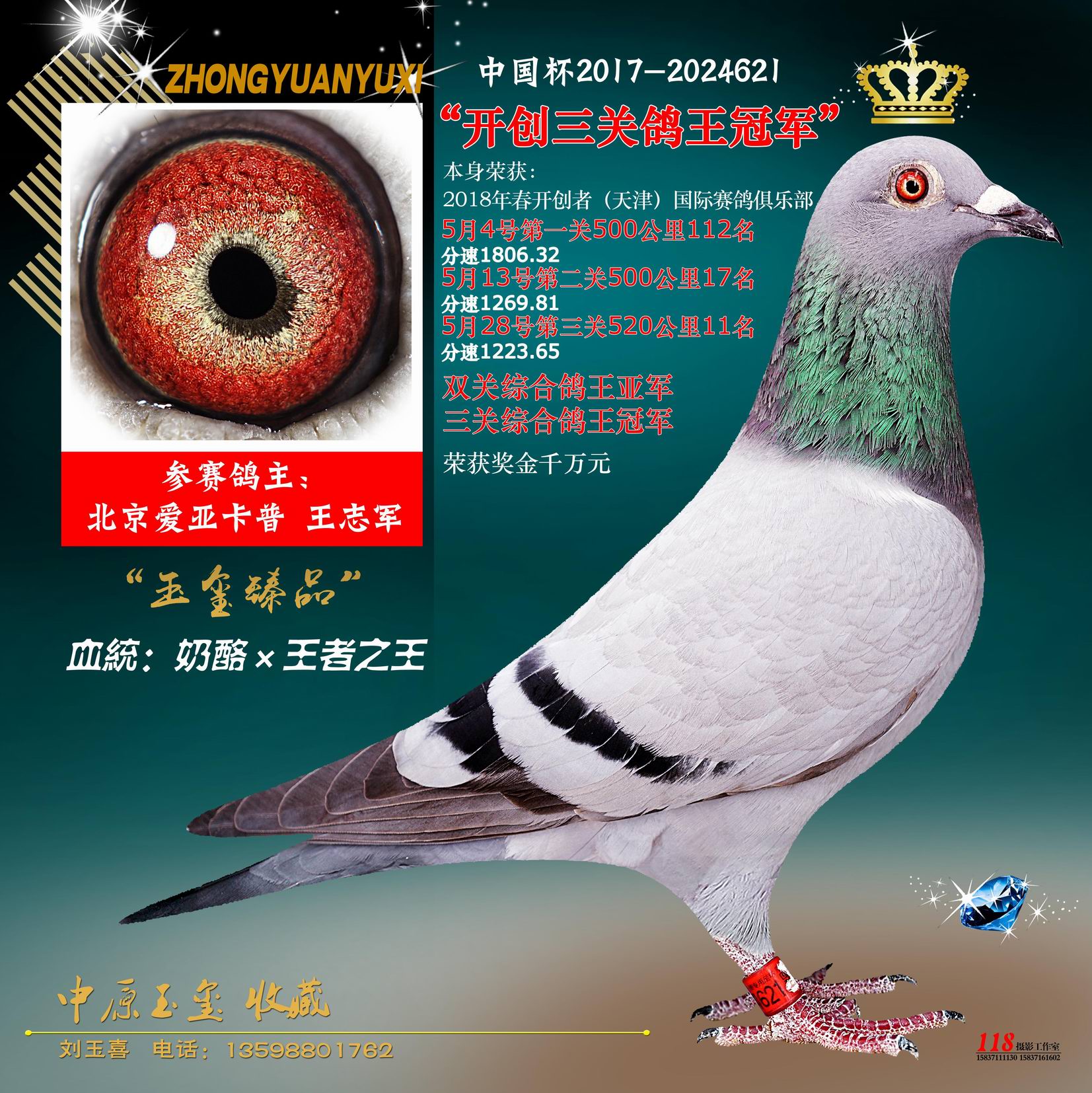 开创三关鸽王冠军