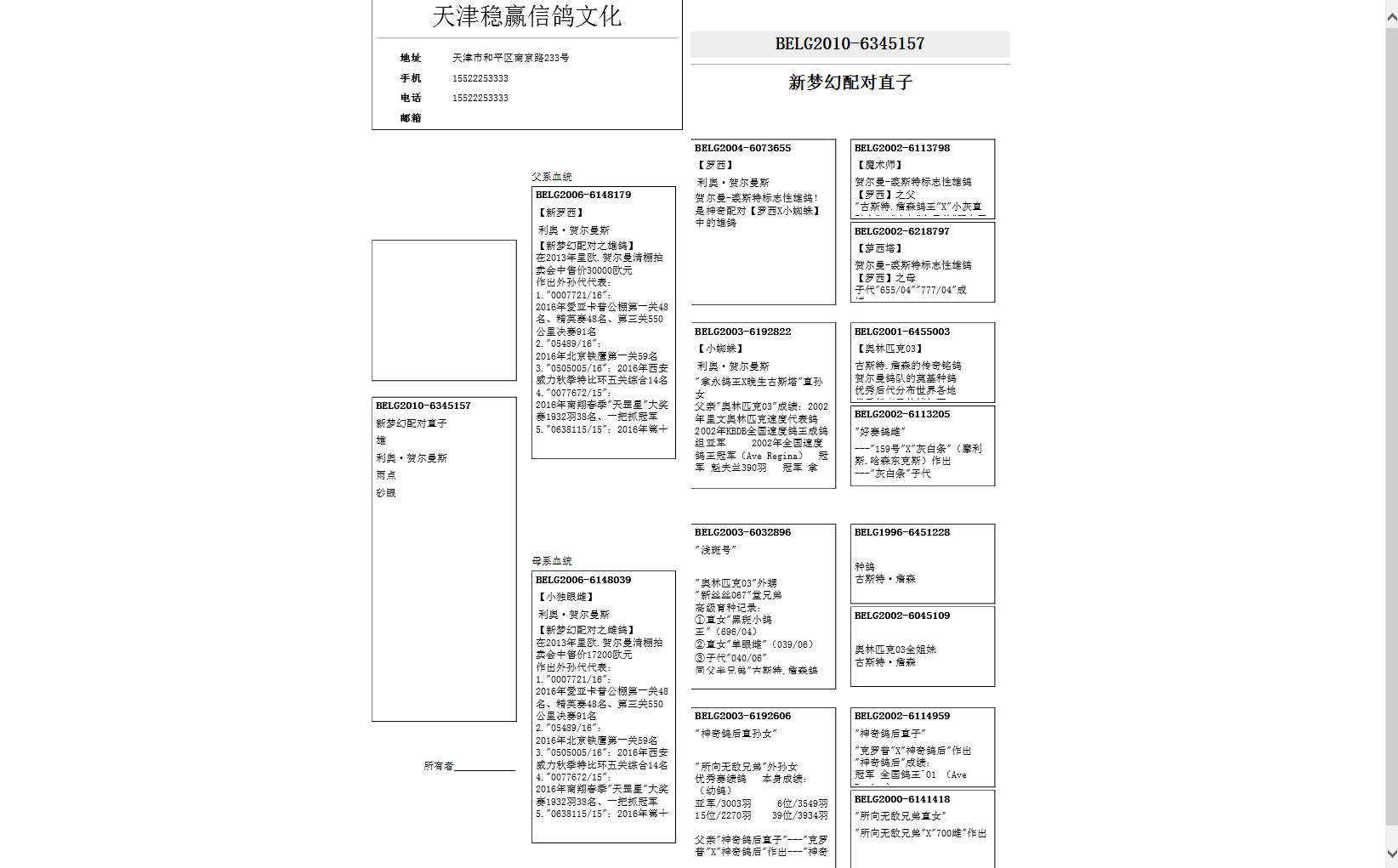 新梦幻配对直子_天津稳赢信鸽文化_ ag188.